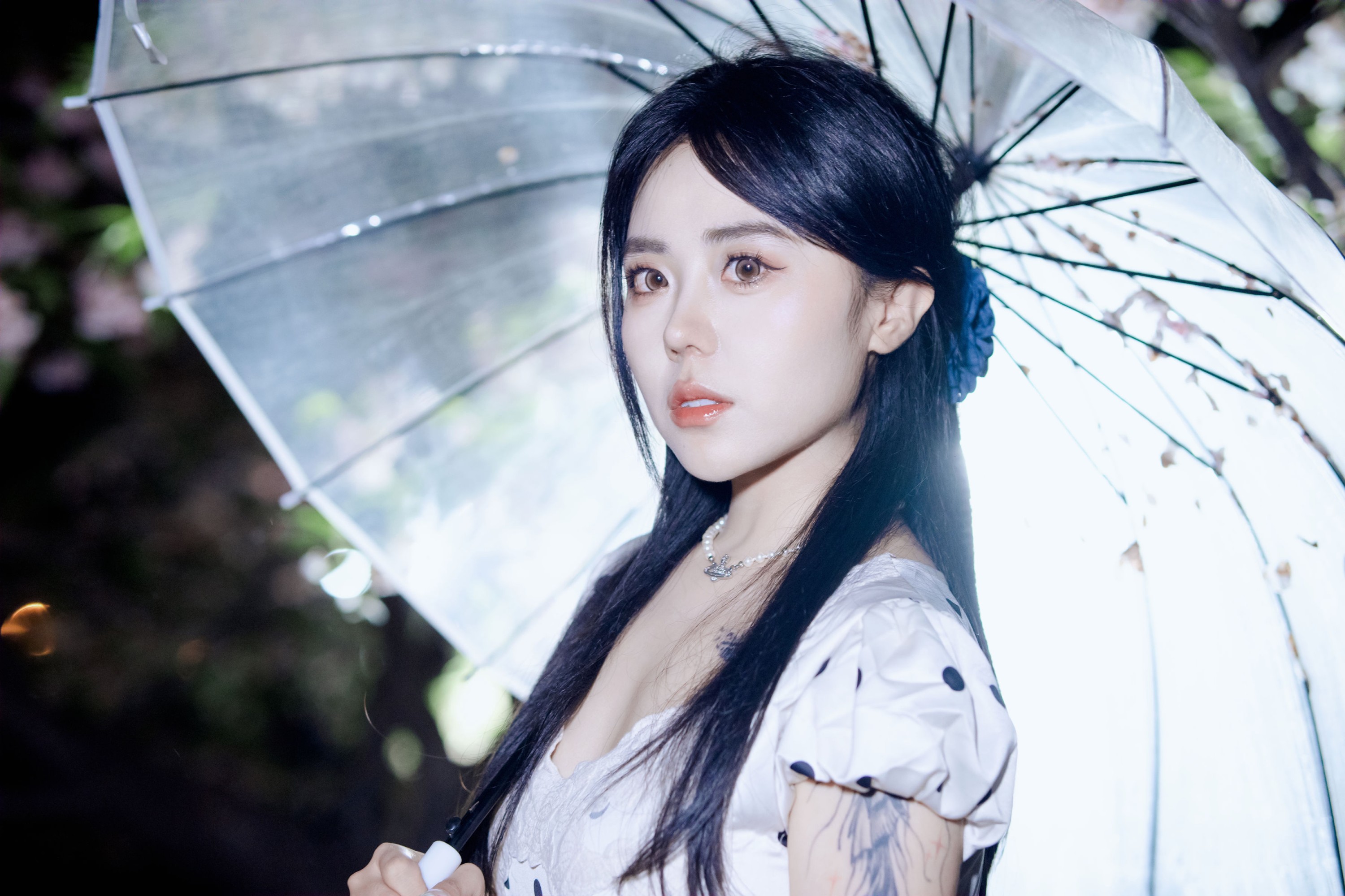 图片[3] - 《夜樱》[31P] - 机器猫次元 - 机器猫次元