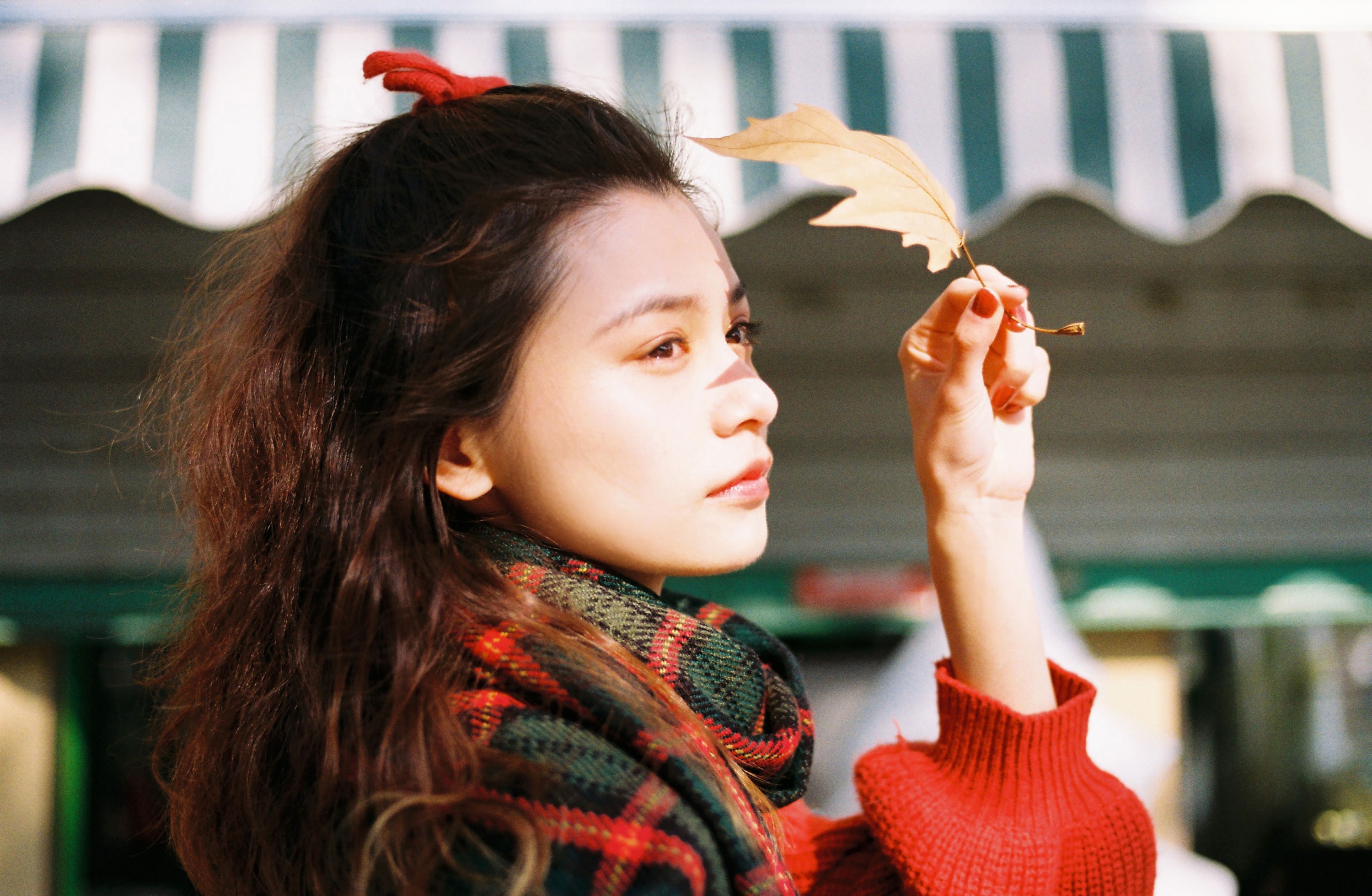 图片[7] - 《车厘子味春天》[11P] - 机器猫次元 - 机器猫次元