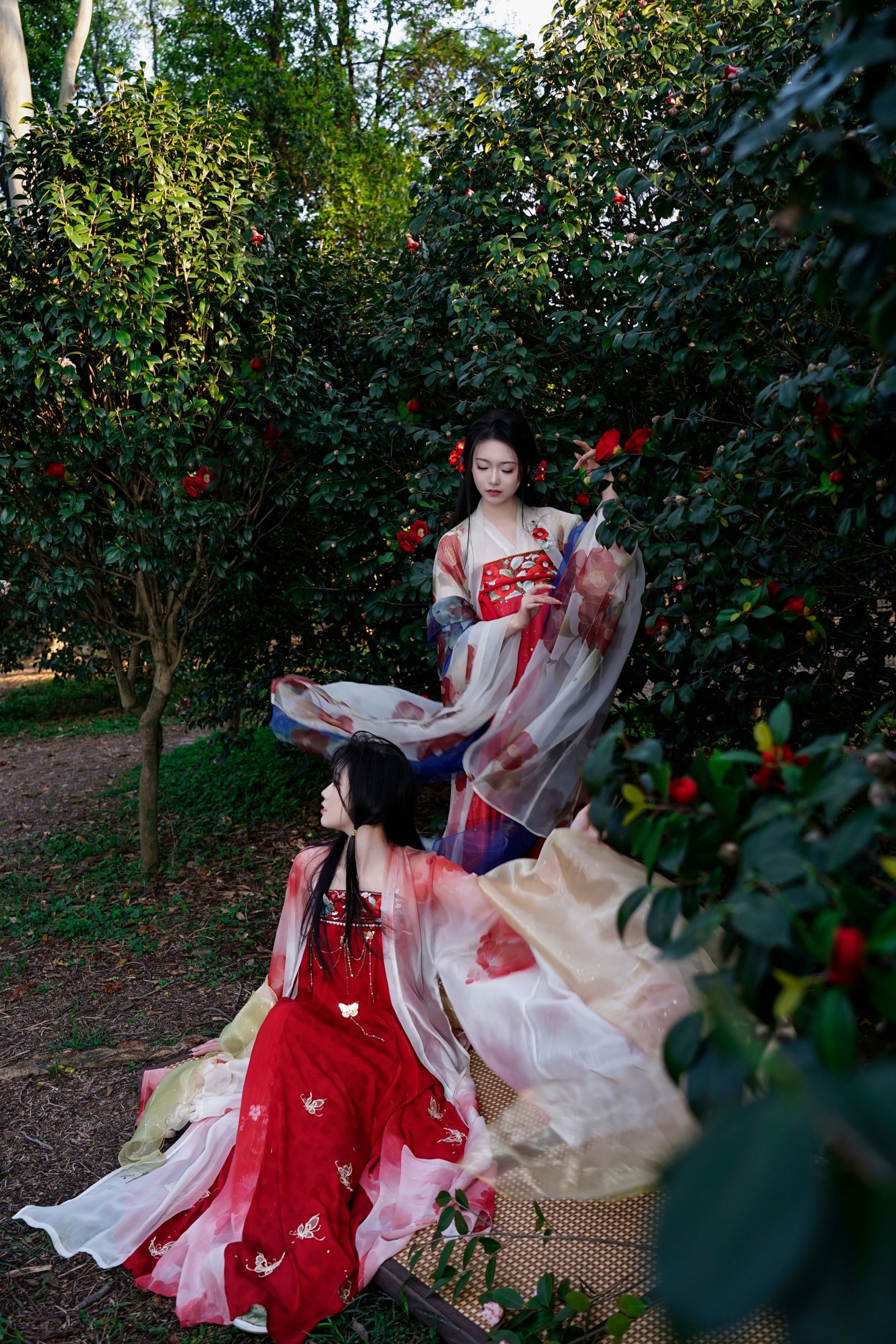 图片[1] - 《山茶花花神双姝》[20P] - 机器猫次元 - 机器猫次元
