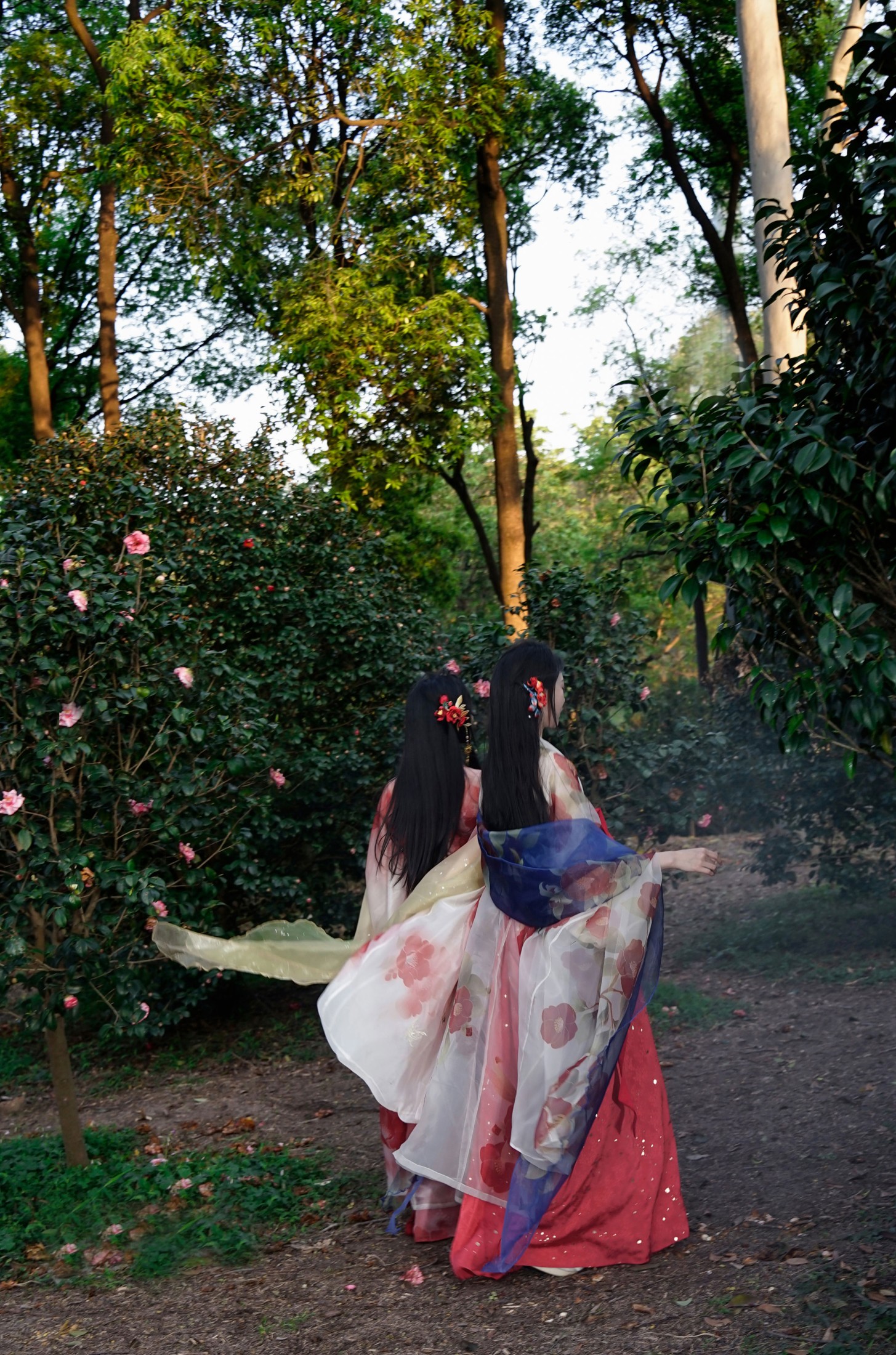 图片[6] - 《山茶花花神双姝》[20P] - 机器猫次元 - 机器猫次元