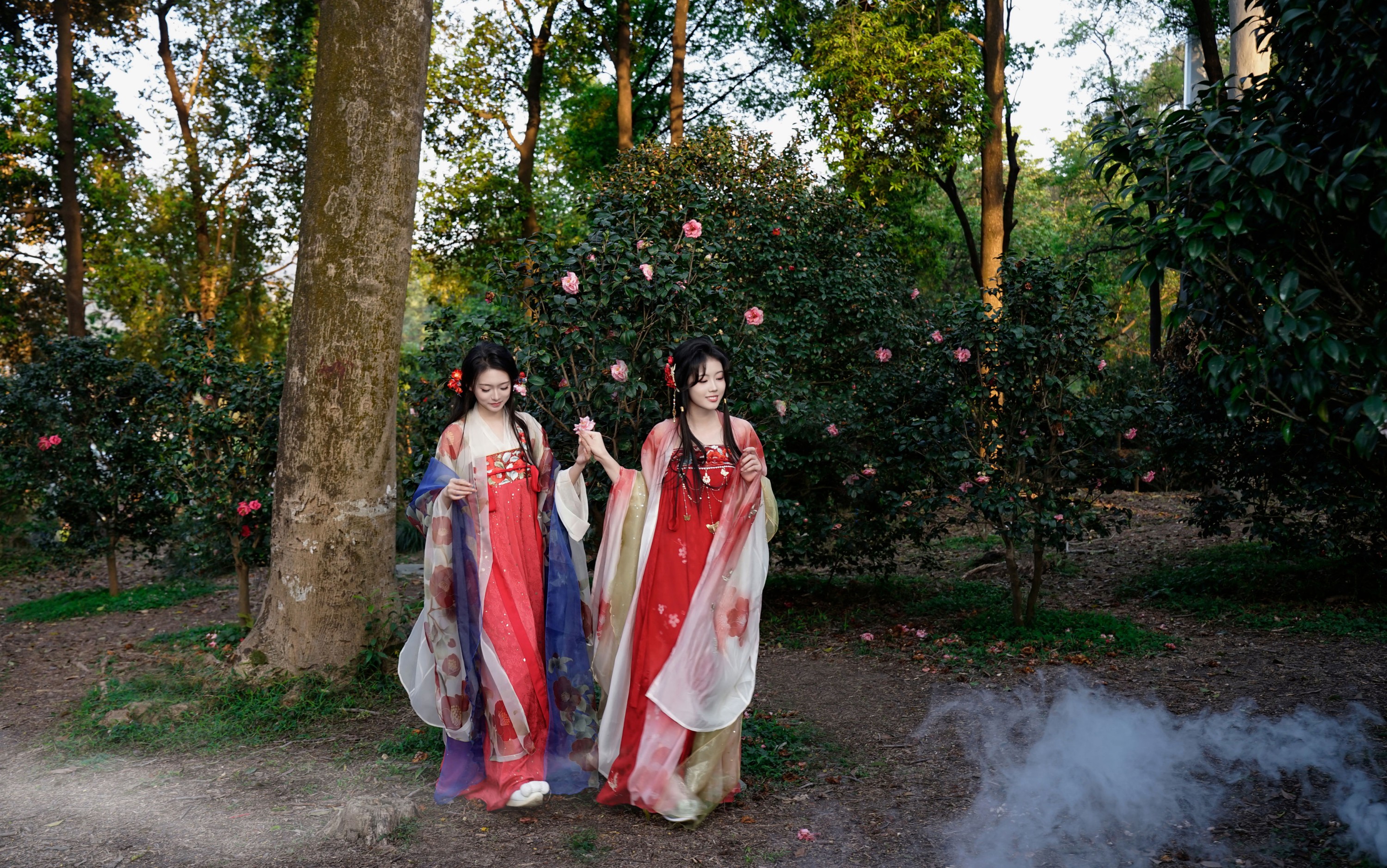 图片[5] - 《山茶花花神双姝》[20P] - 机器猫次元 - 机器猫次元