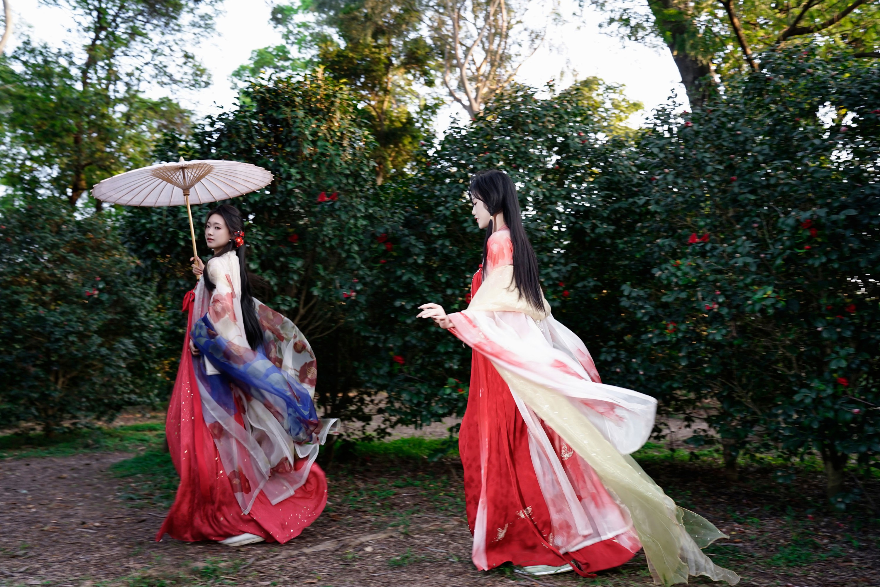 图片[4] - 《山茶花花神双姝》[20P] - 机器猫次元 - 机器猫次元