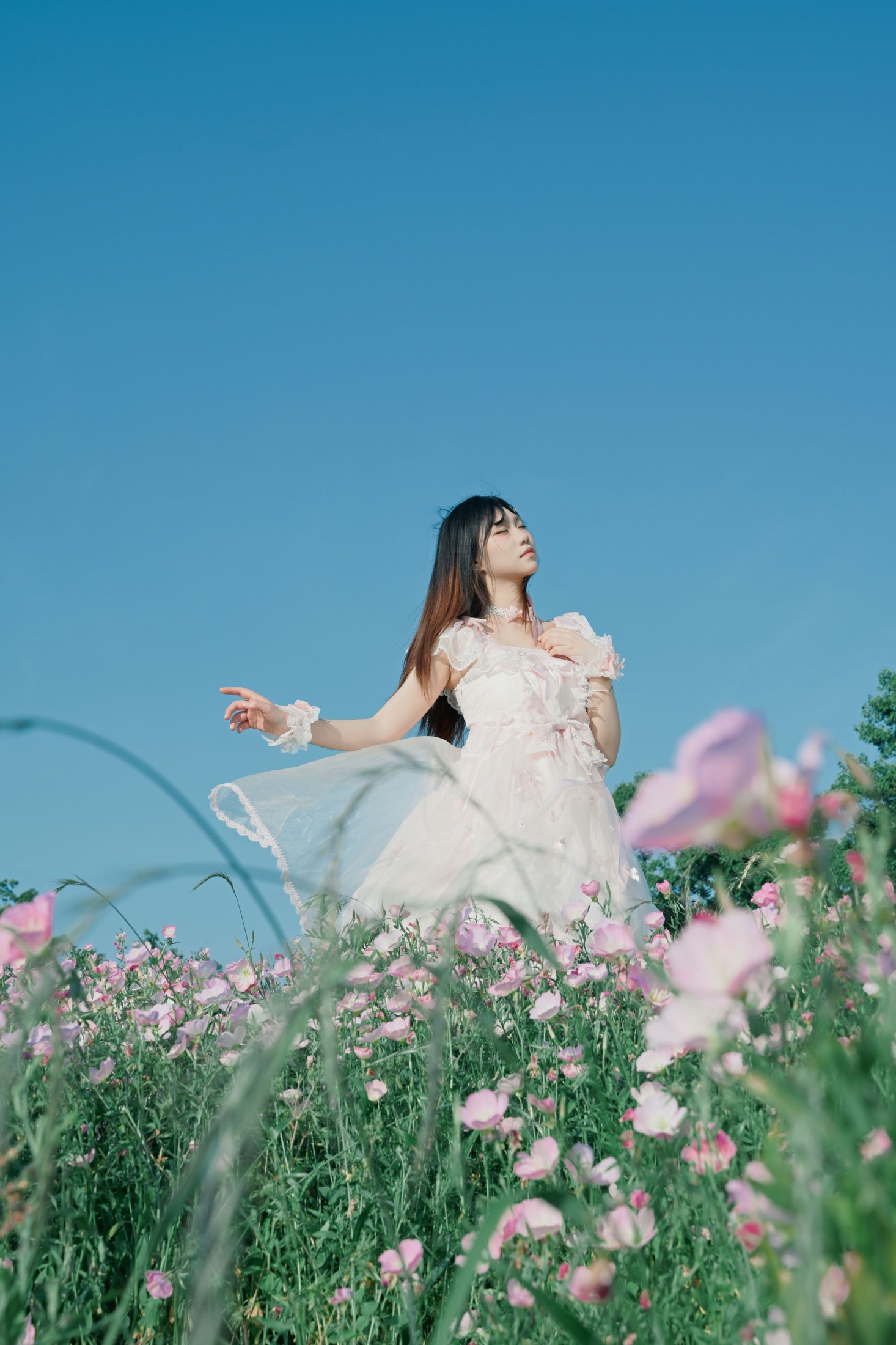 图片[8] - 《动人的不只是春天》[12P] - 机器猫次元 - 机器猫次元
