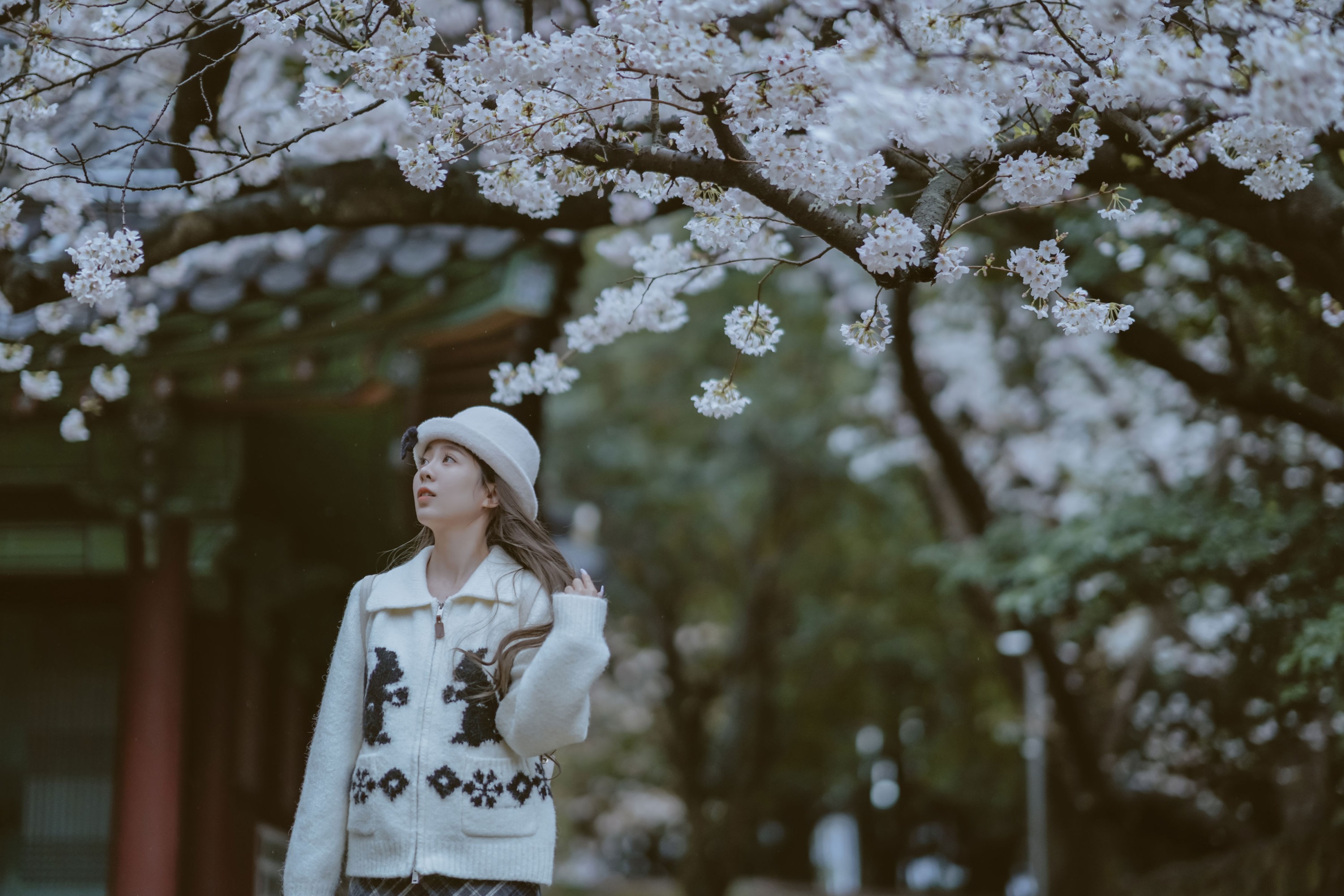 图片[5] - 《是花开的那一天》[11P] - 机器猫次元 - 机器猫次元