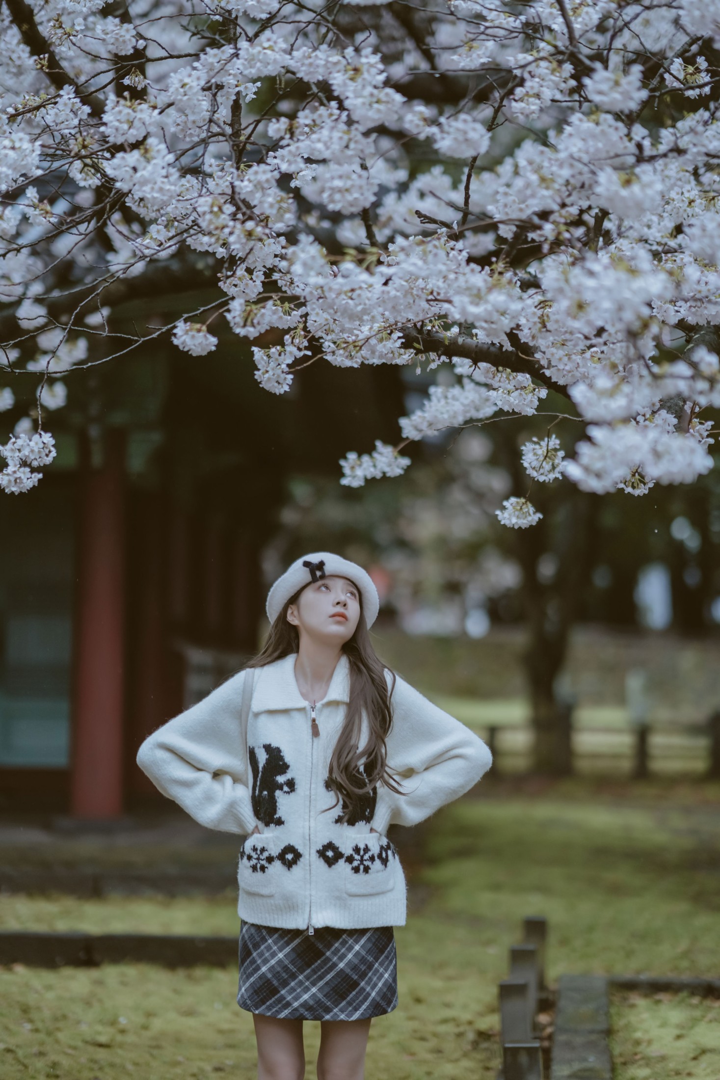 图片[1] - 《是花开的那一天》[11P] - 机器猫次元 - 机器猫次元