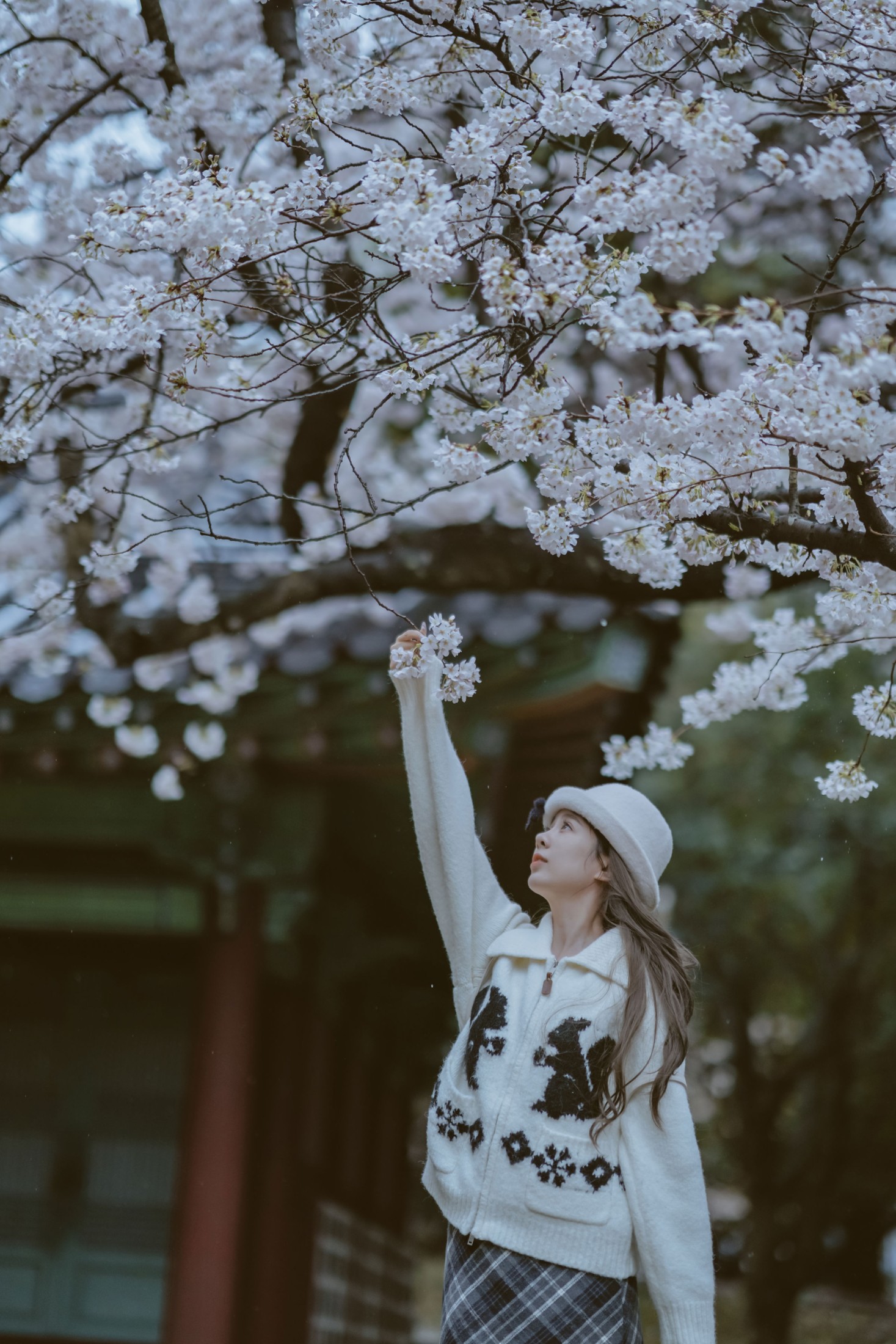 图片[4] - 《是花开的那一天》[11P] - 机器猫次元 - 机器猫次元
