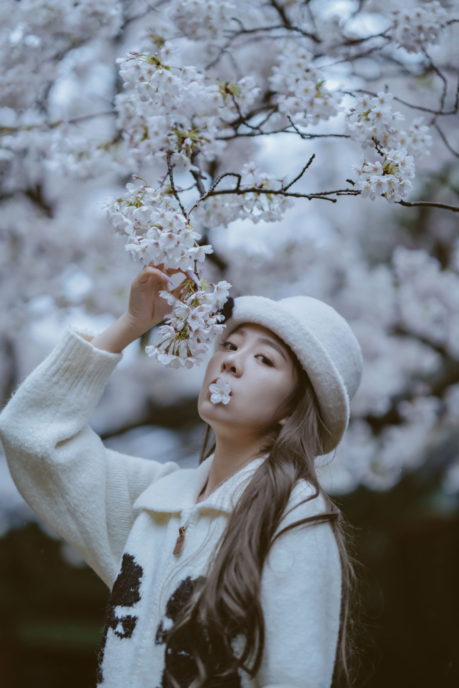 图片[8] - 《是花开的那一天》[11P] - 机器猫次元 - 机器猫次元