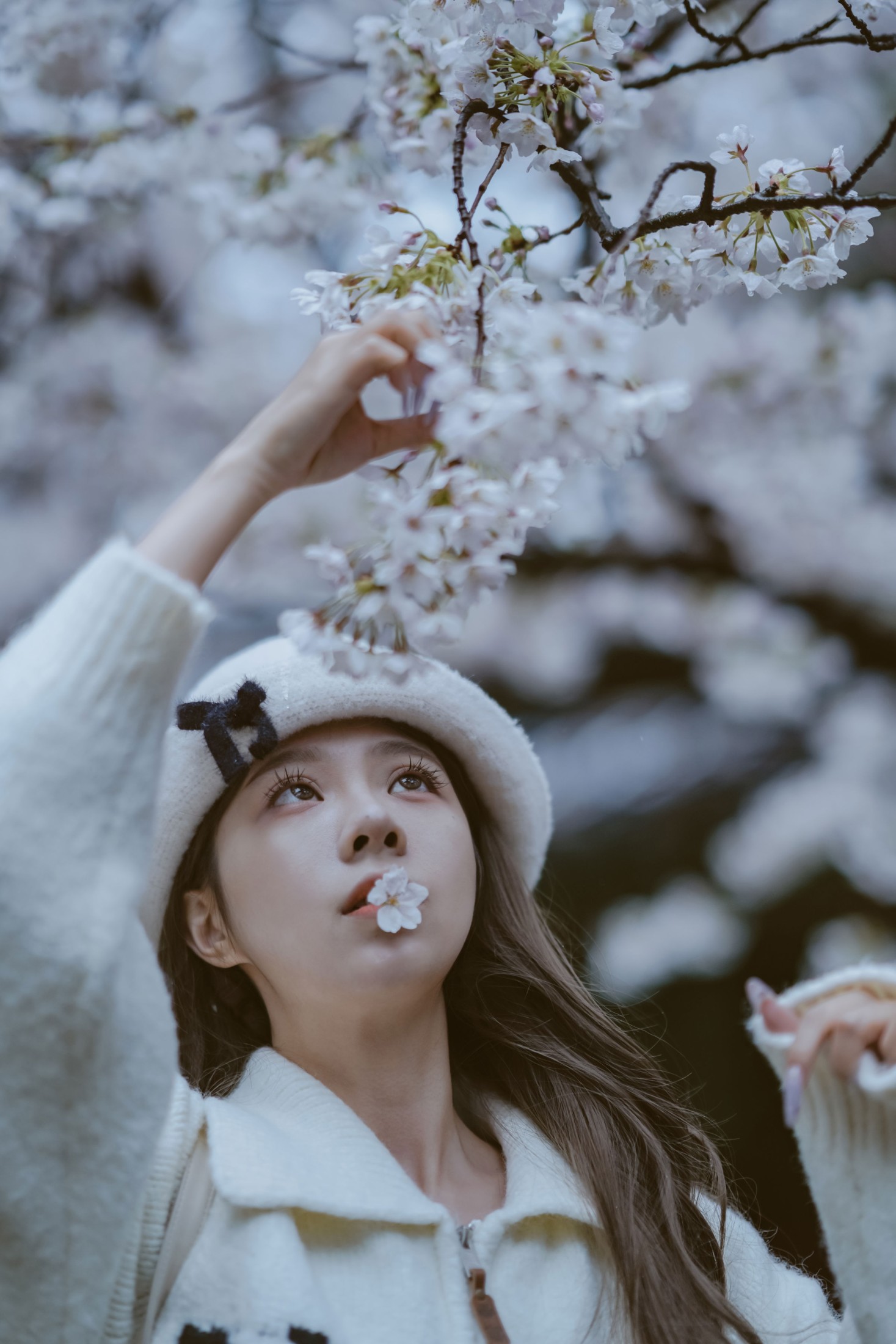 图片[3] - 《是花开的那一天》[11P] - 机器猫次元 - 机器猫次元