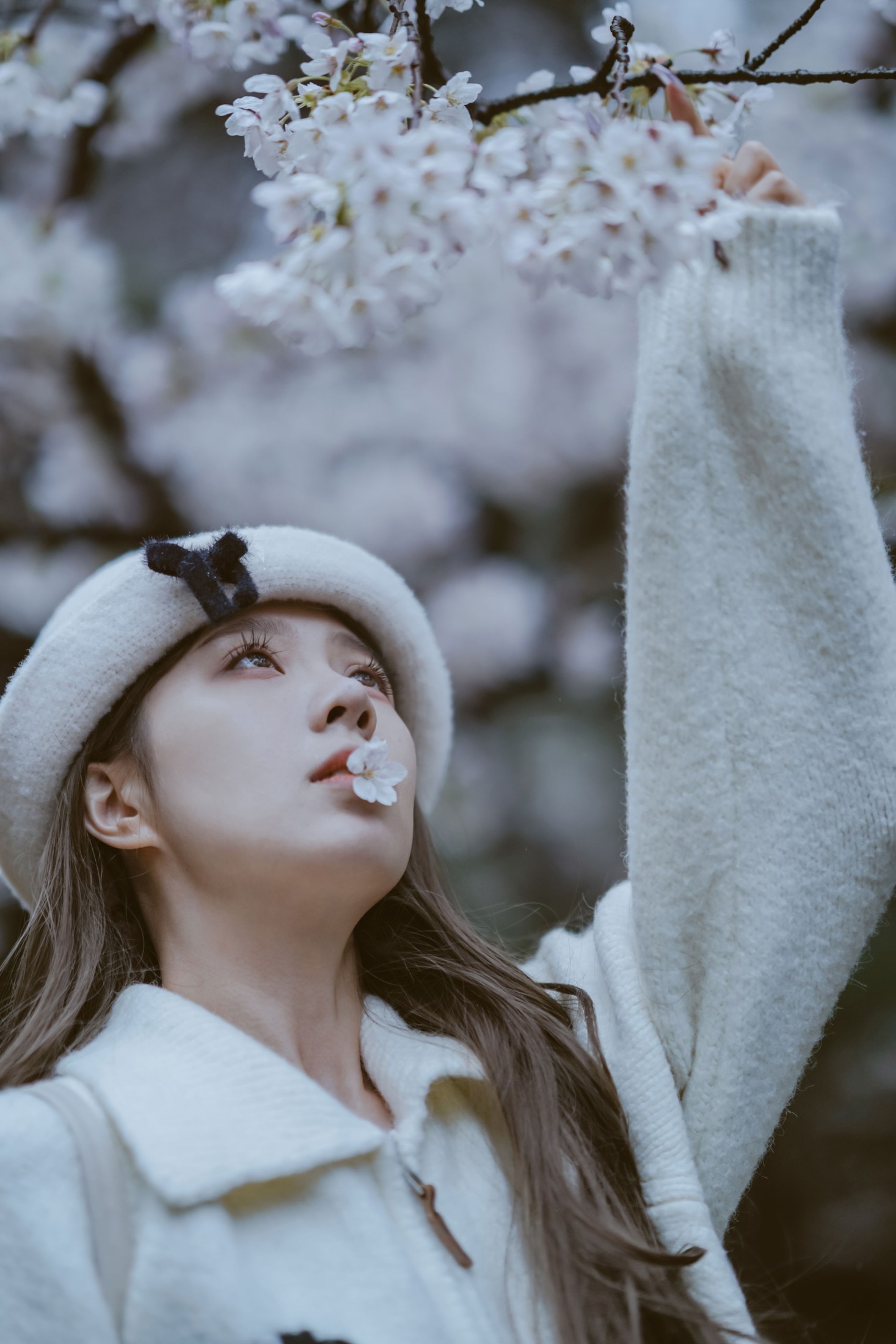 图片[6] - 《是花开的那一天》[11P] - 机器猫次元 - 机器猫次元