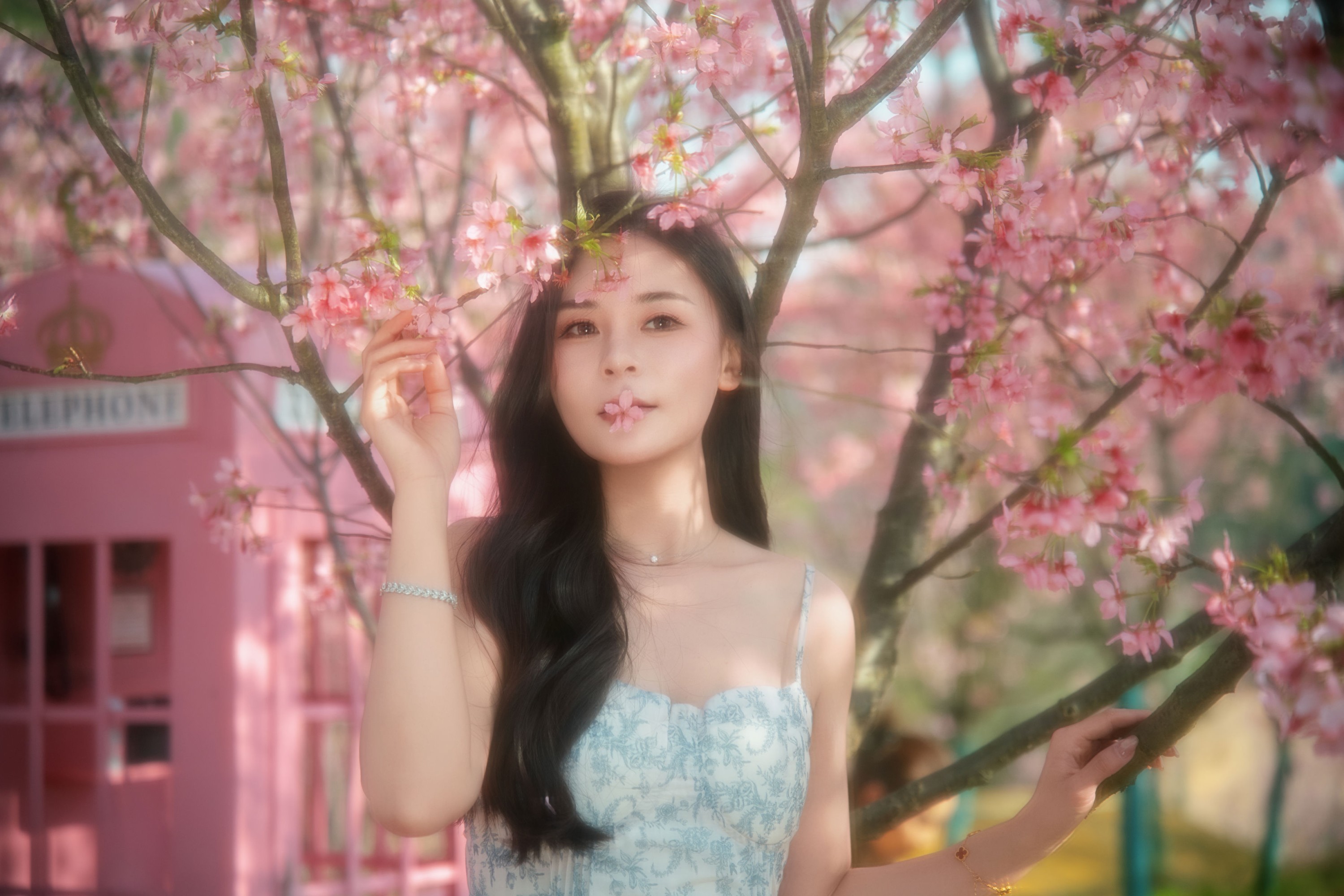 图片[1] - 《樱花》[9P] - 机器猫次元 - 机器猫次元