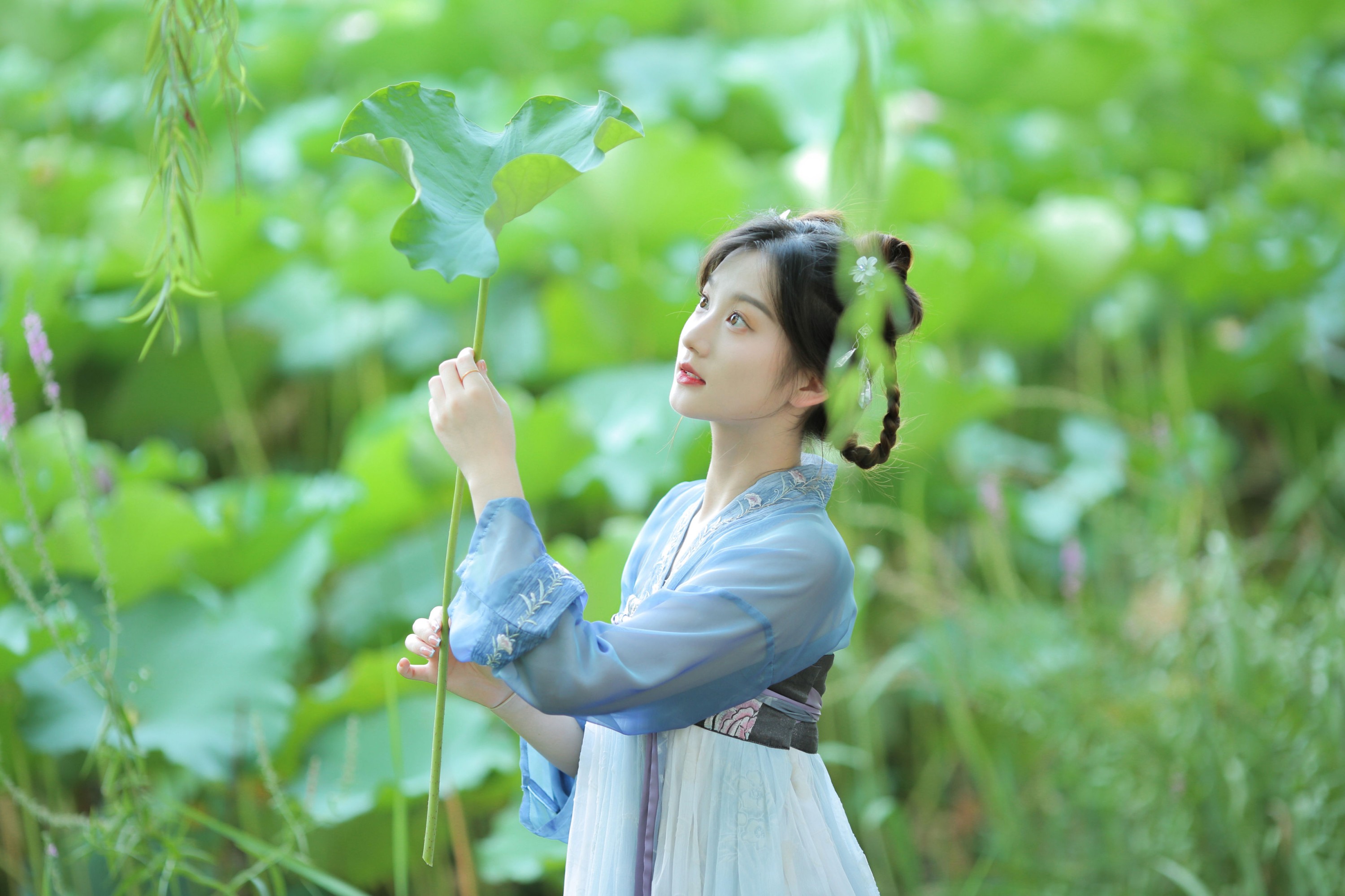 图片[2] - 《荷花不知道的是，她就是夏天》[10P] - 机器猫次元 - 机器猫次元