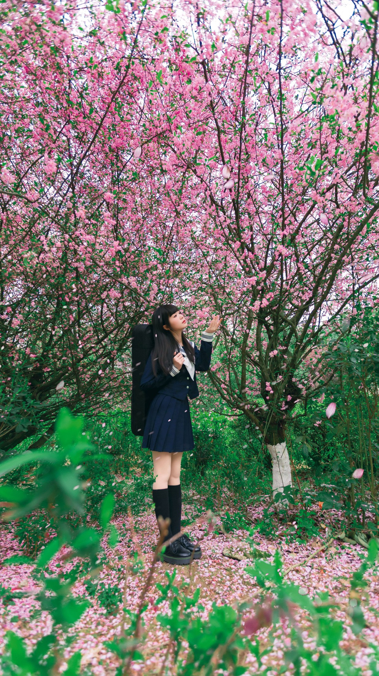 图片[2] - 《海棠花下独凑》[27P] - 机器猫次元 - 机器猫次元