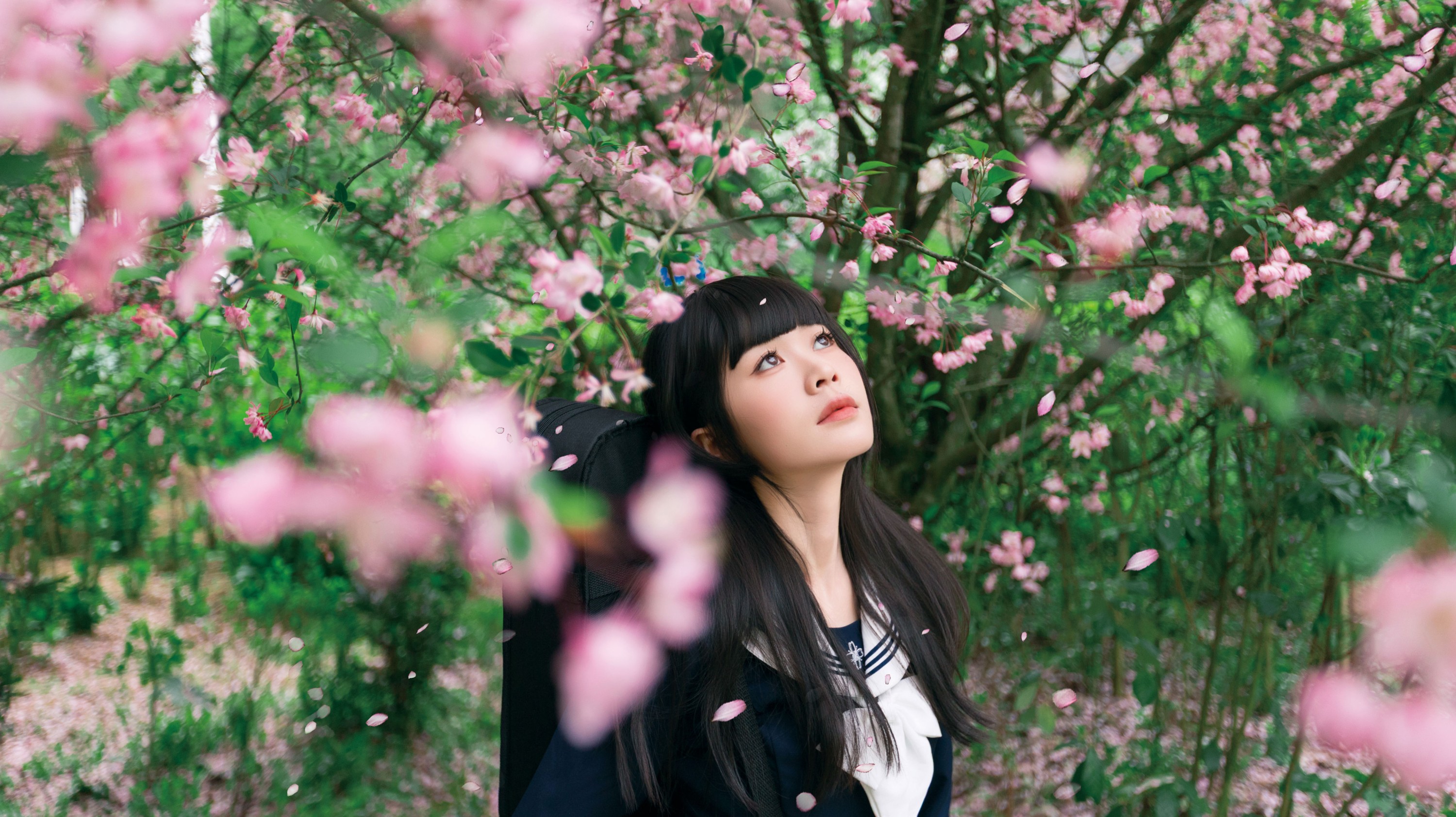 图片[3] - 《海棠花下独凑》[27P] - 机器猫次元 - 机器猫次元