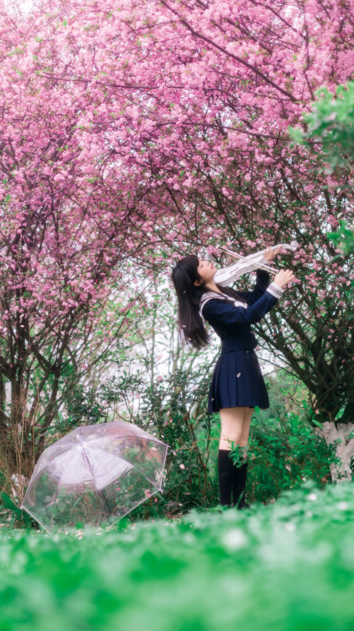 图片[6] - 《海棠花下独凑》[27P] - 机器猫次元 - 机器猫次元