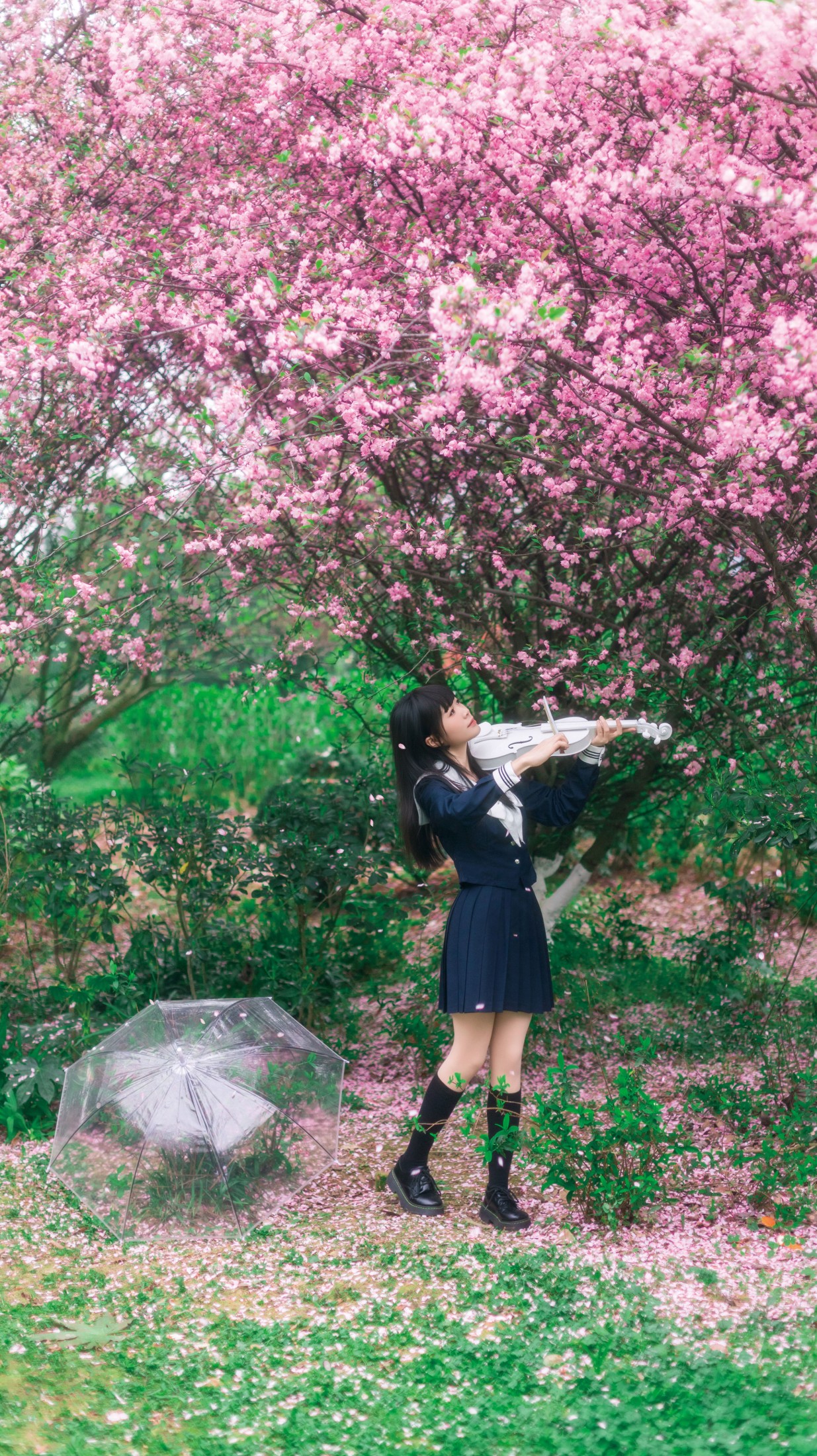 图片[5] - 《海棠花下独凑》[27P] - 机器猫次元 - 机器猫次元