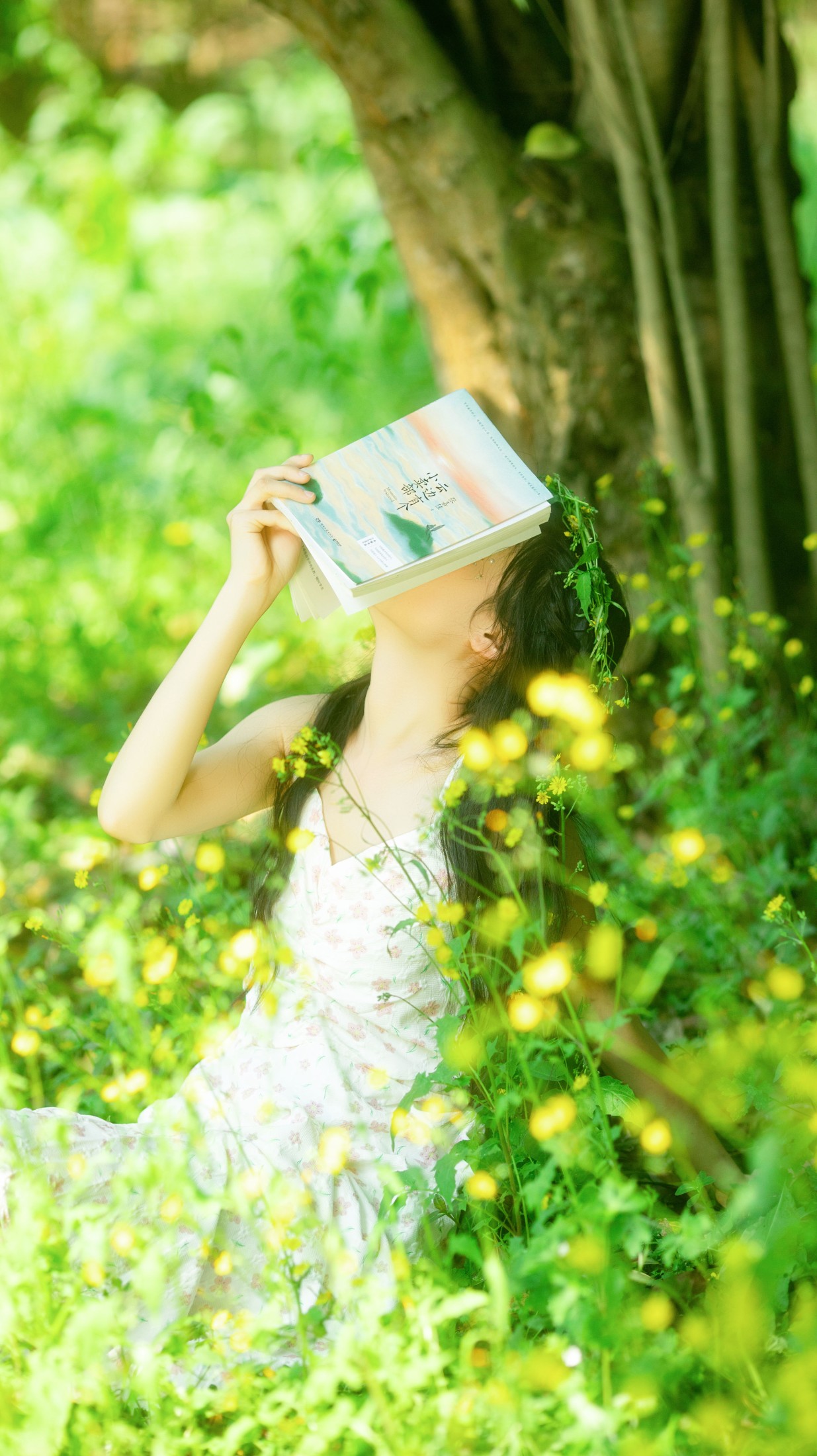 图片[2] - 《阳光下的少女》[22P] - 机器猫次元 - 机器猫次元