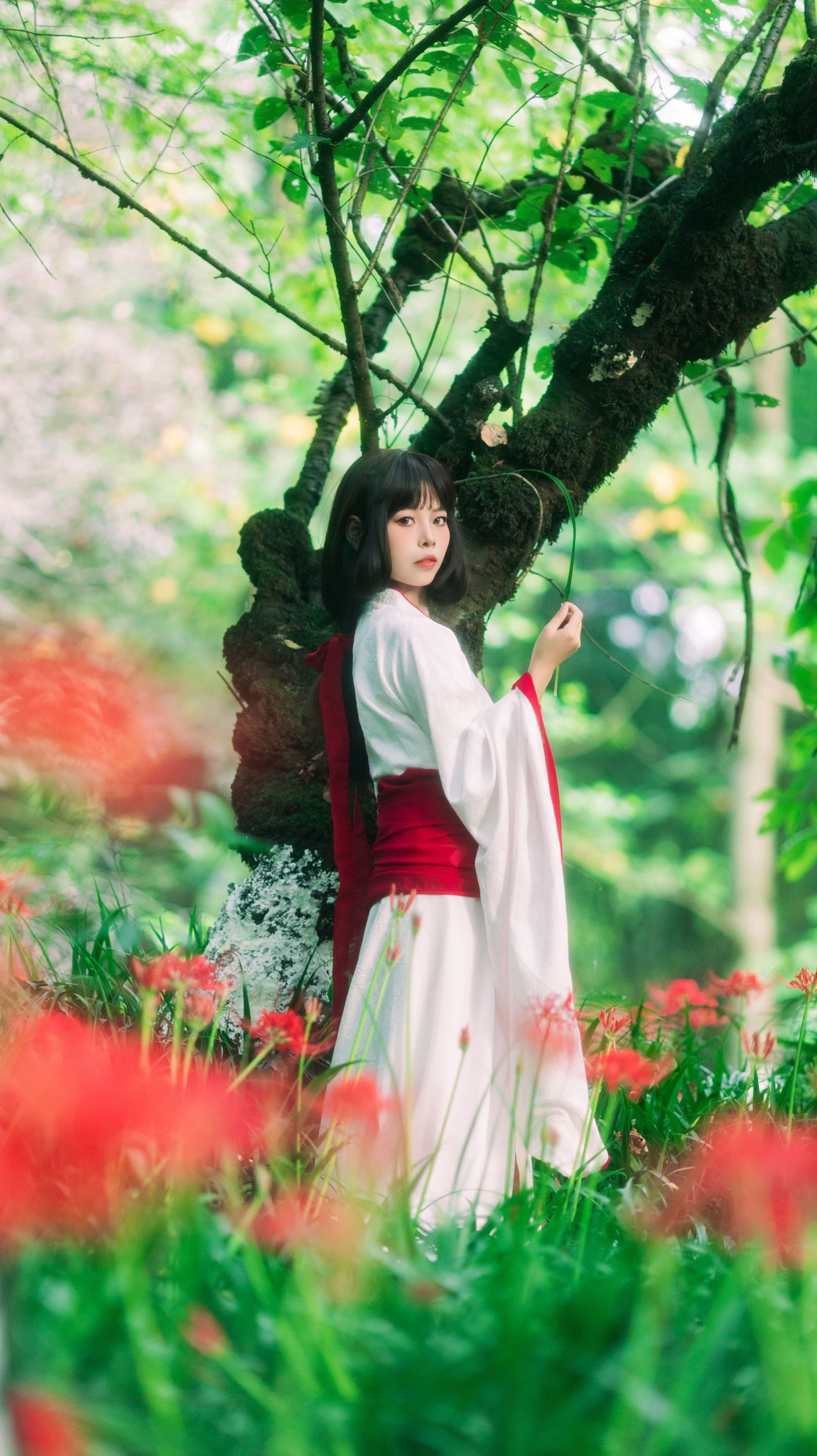 图片[6] - 《彼岸之约》[28P] - 机器猫次元 - 机器猫次元