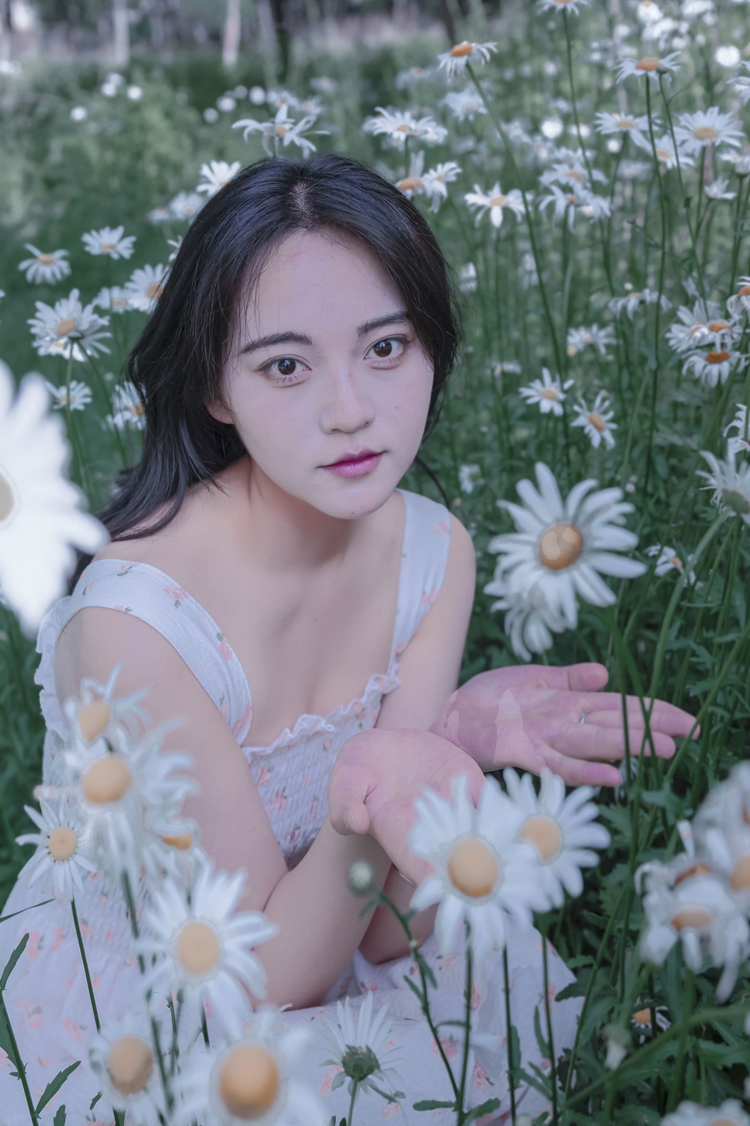 图片[5] - 《草地白菊花白衣性感女子写真》[34P] - 机器猫次元 - 机器猫次元