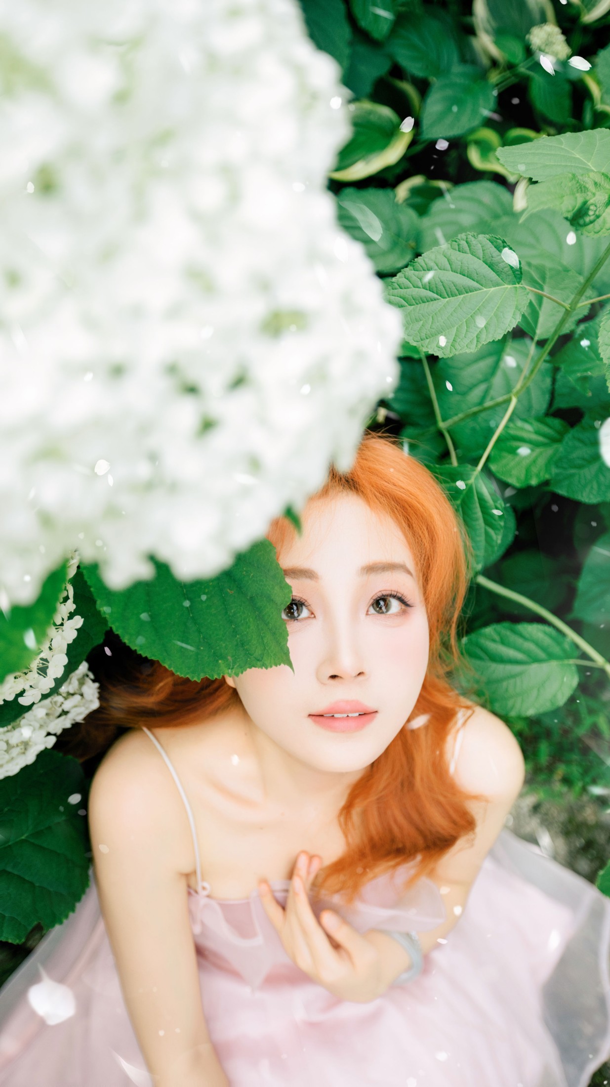 图片[6] - 《绣球与夏的告白》[23P] - 机器猫次元 - 机器猫次元