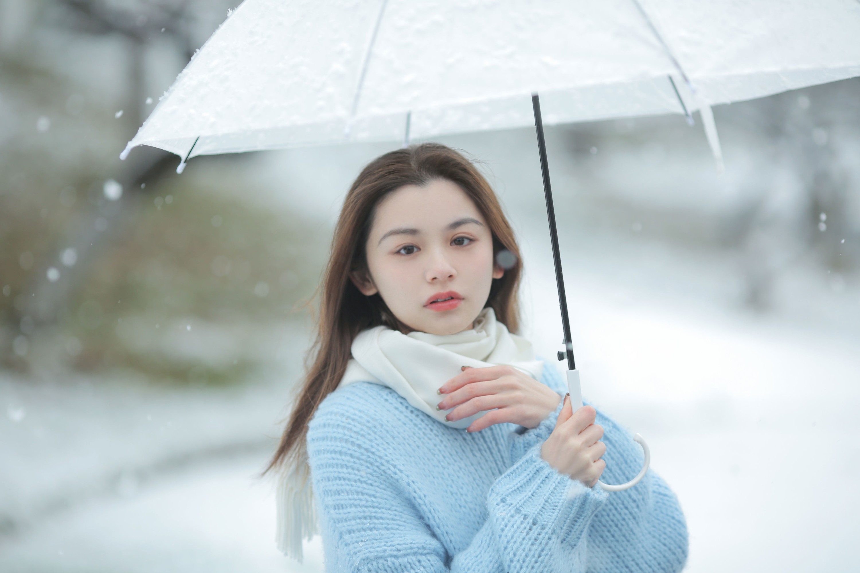图片[2] - 《我画一只飞鸟，衔着白雪飞去》[11P] - 机器猫次元 - 机器猫次元