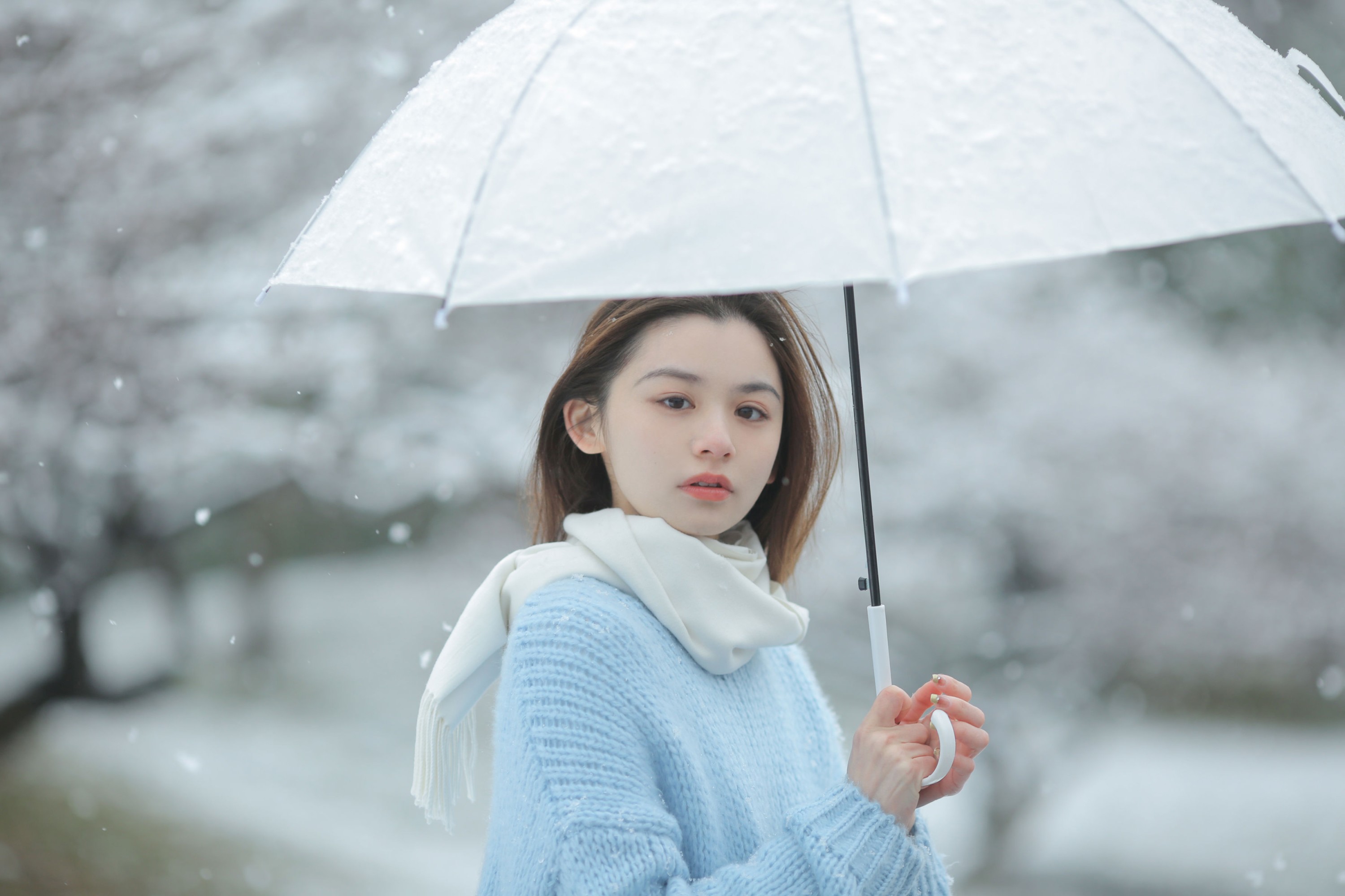 图片[4] - 《我画一只飞鸟，衔着白雪飞去》[11P] - 机器猫次元 - 机器猫次元