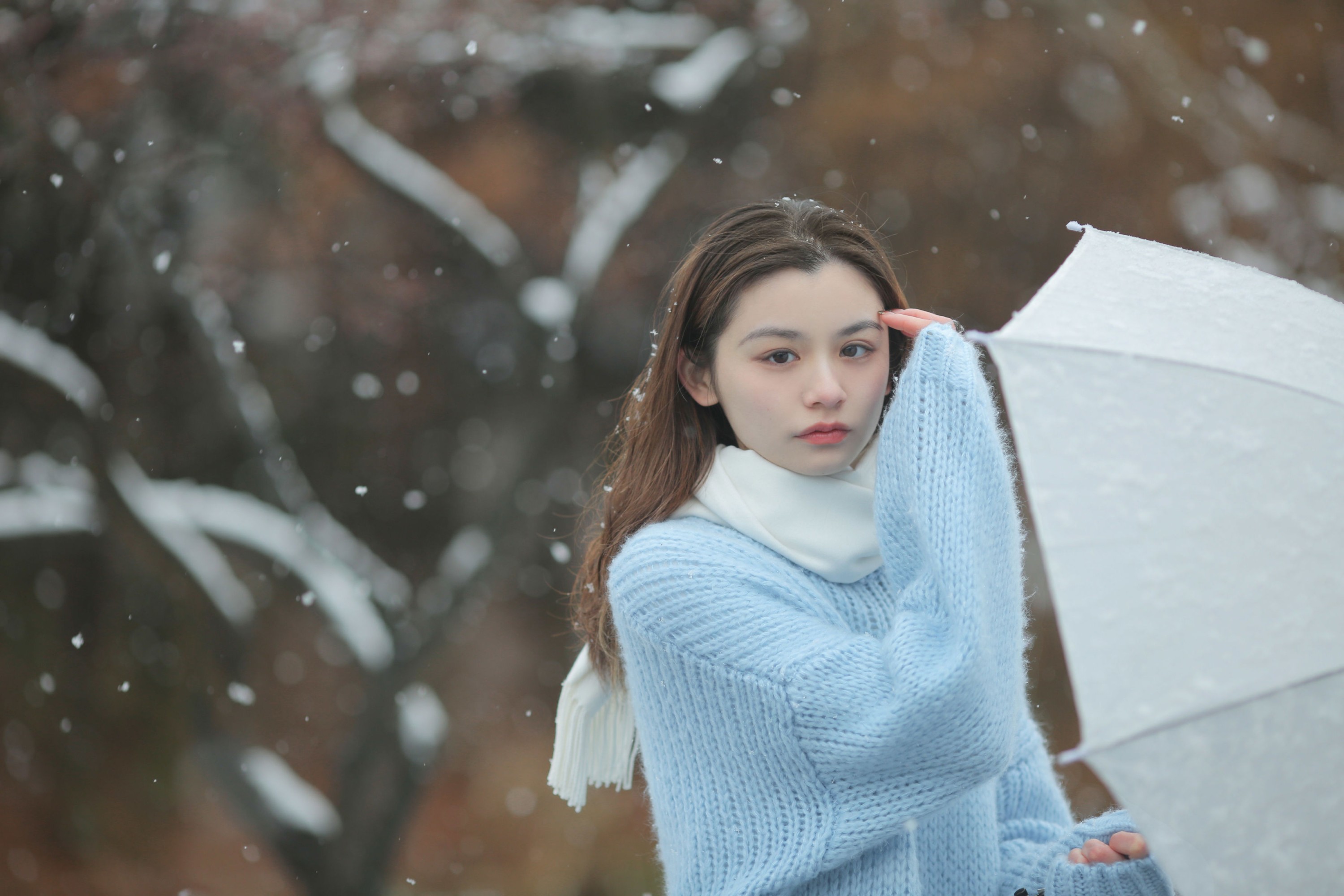 图片[8] - 《我画一只飞鸟，衔着白雪飞去》[11P] - 机器猫次元 - 机器猫次元
