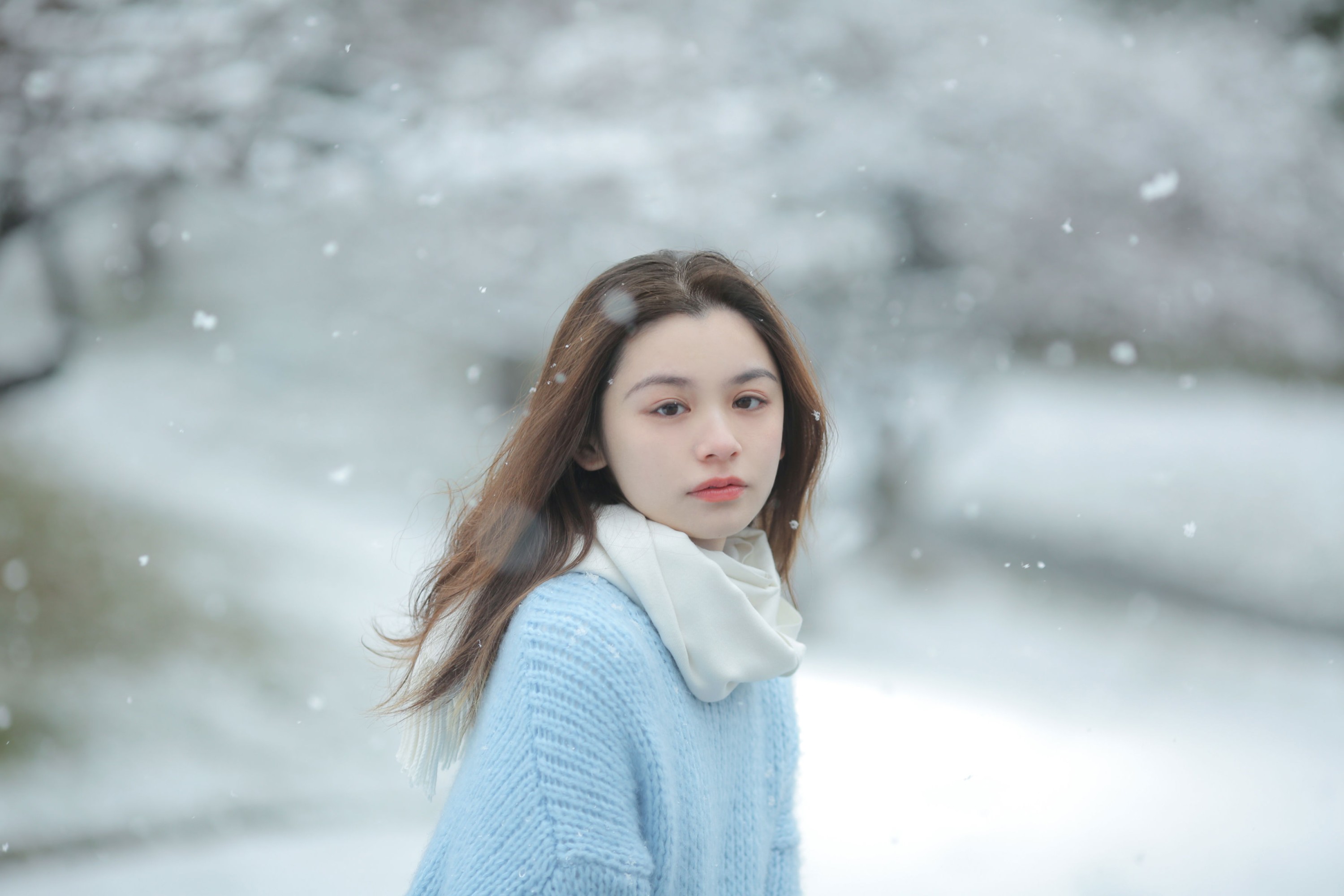 图片[3] - 《我画一只飞鸟，衔着白雪飞去》[11P] - 机器猫次元 - 机器猫次元