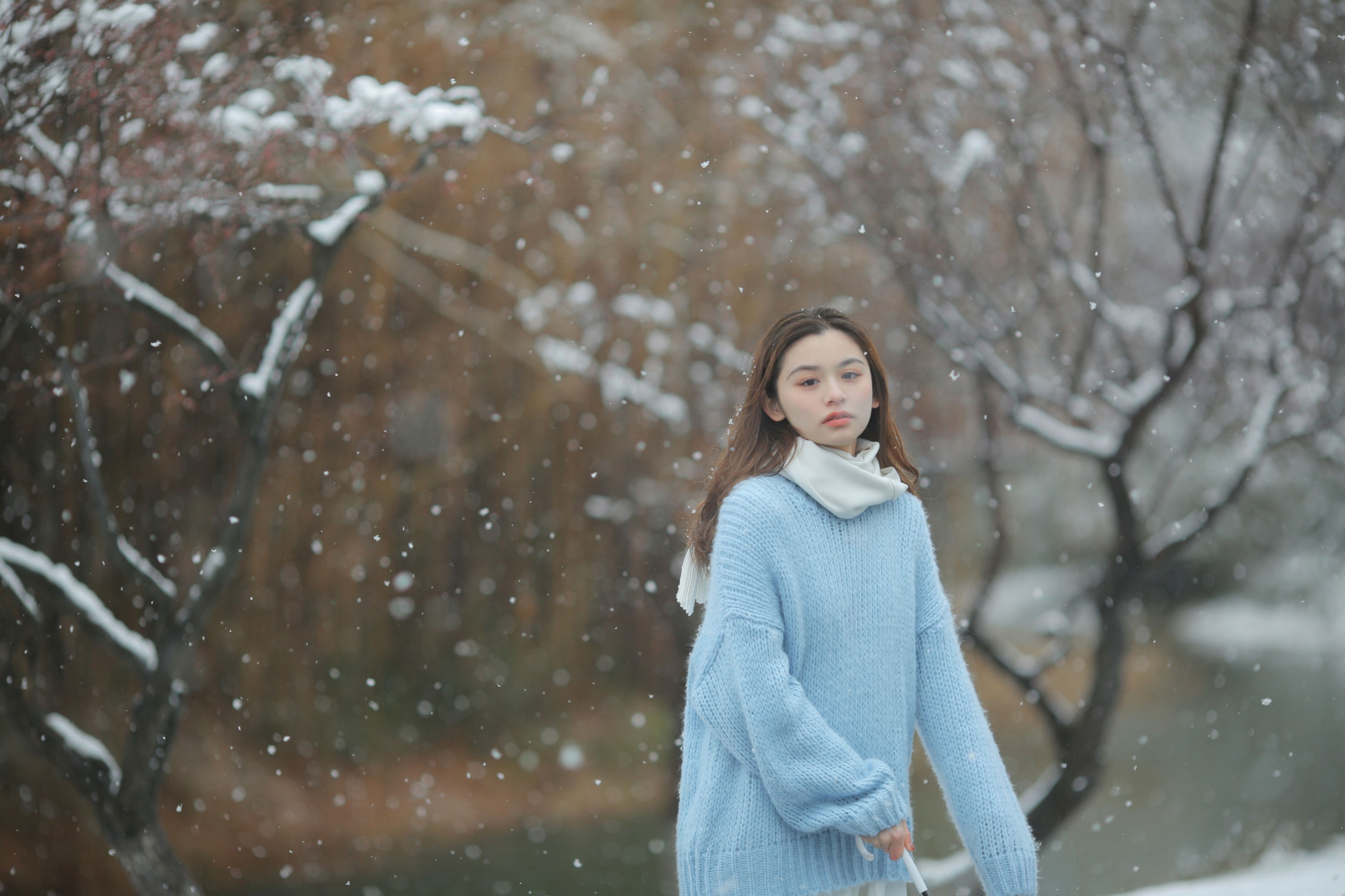 图片[7] - 《我画一只飞鸟，衔着白雪飞去》[11P] - 机器猫次元 - 机器猫次元