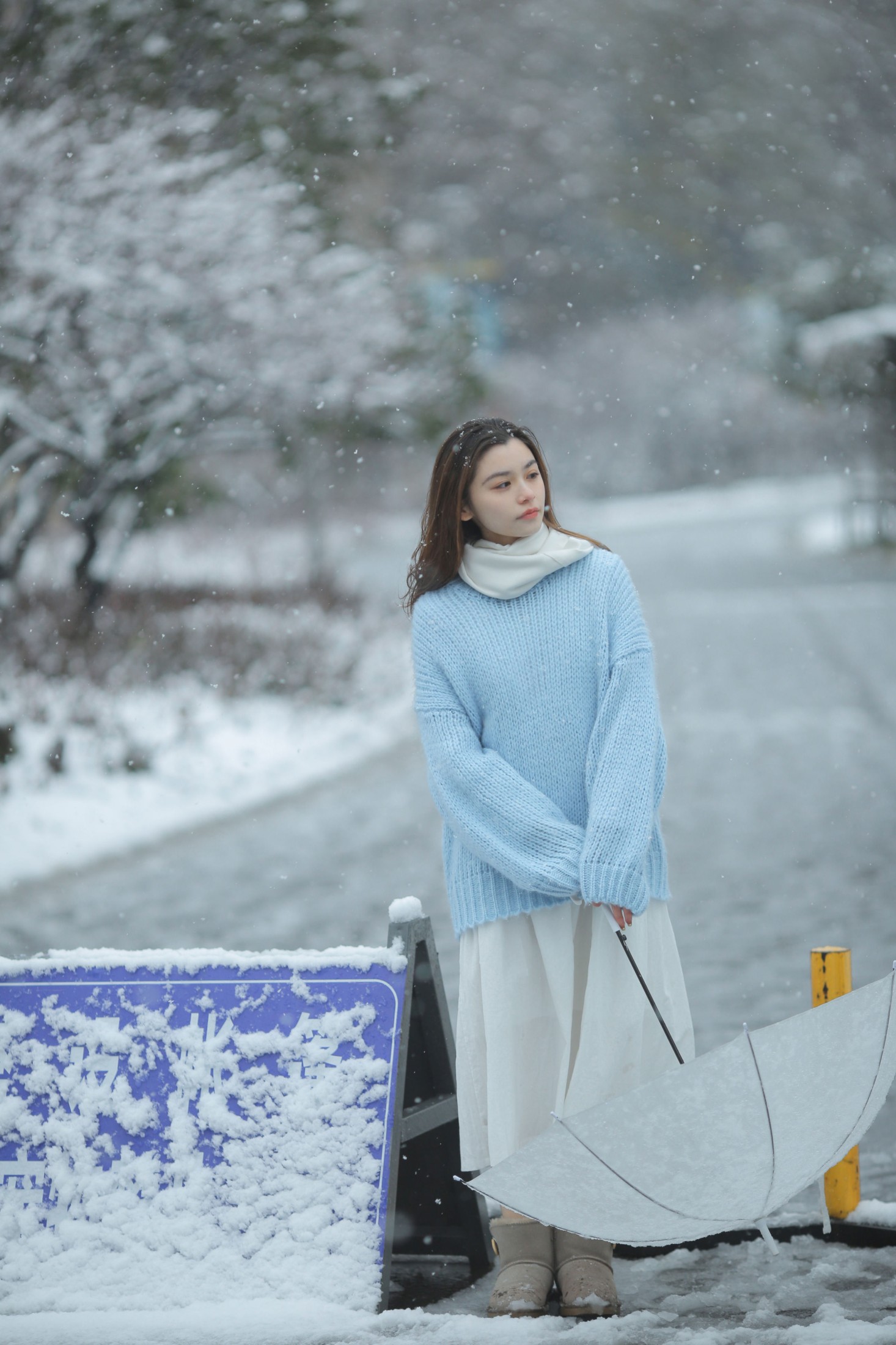 图片[1] - 《我画一只飞鸟，衔着白雪飞去》[11P] - 机器猫次元 - 机器猫次元