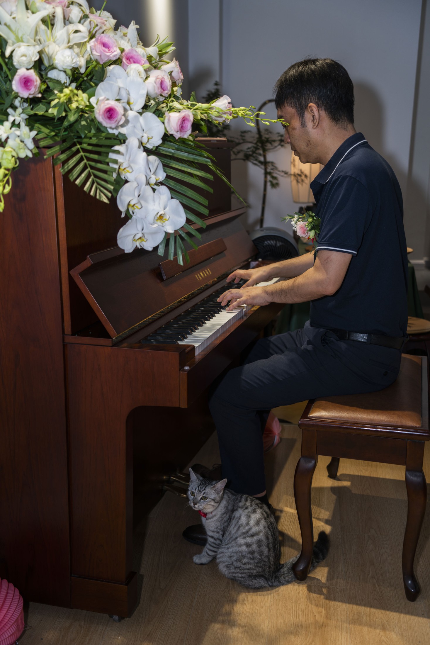 图片[1] - 《好奇猫，觅琴音》[9P] - 机器猫次元 - 机器猫次元