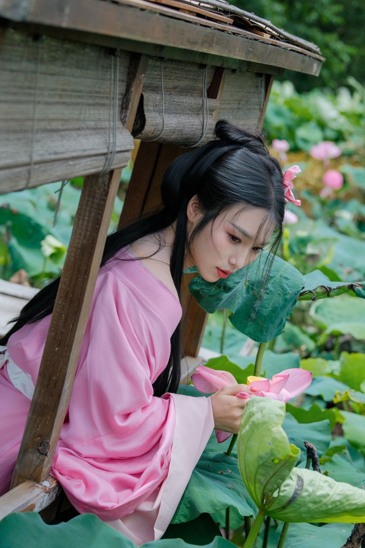 图片[6] - 《兴尽晚回舟，误入藕花深处》[27P] - 机器猫次元 - 机器猫次元