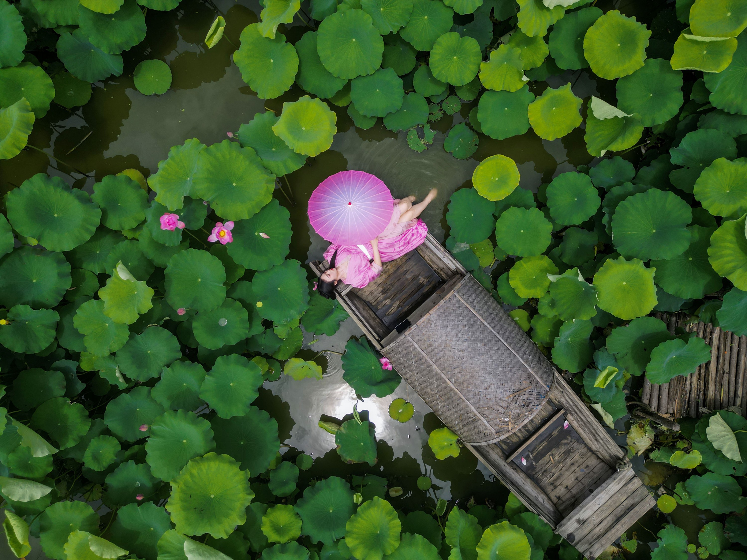 图片[2] - 《兴尽晚回舟，误入藕花深处》[27P] - 机器猫次元 - 机器猫次元