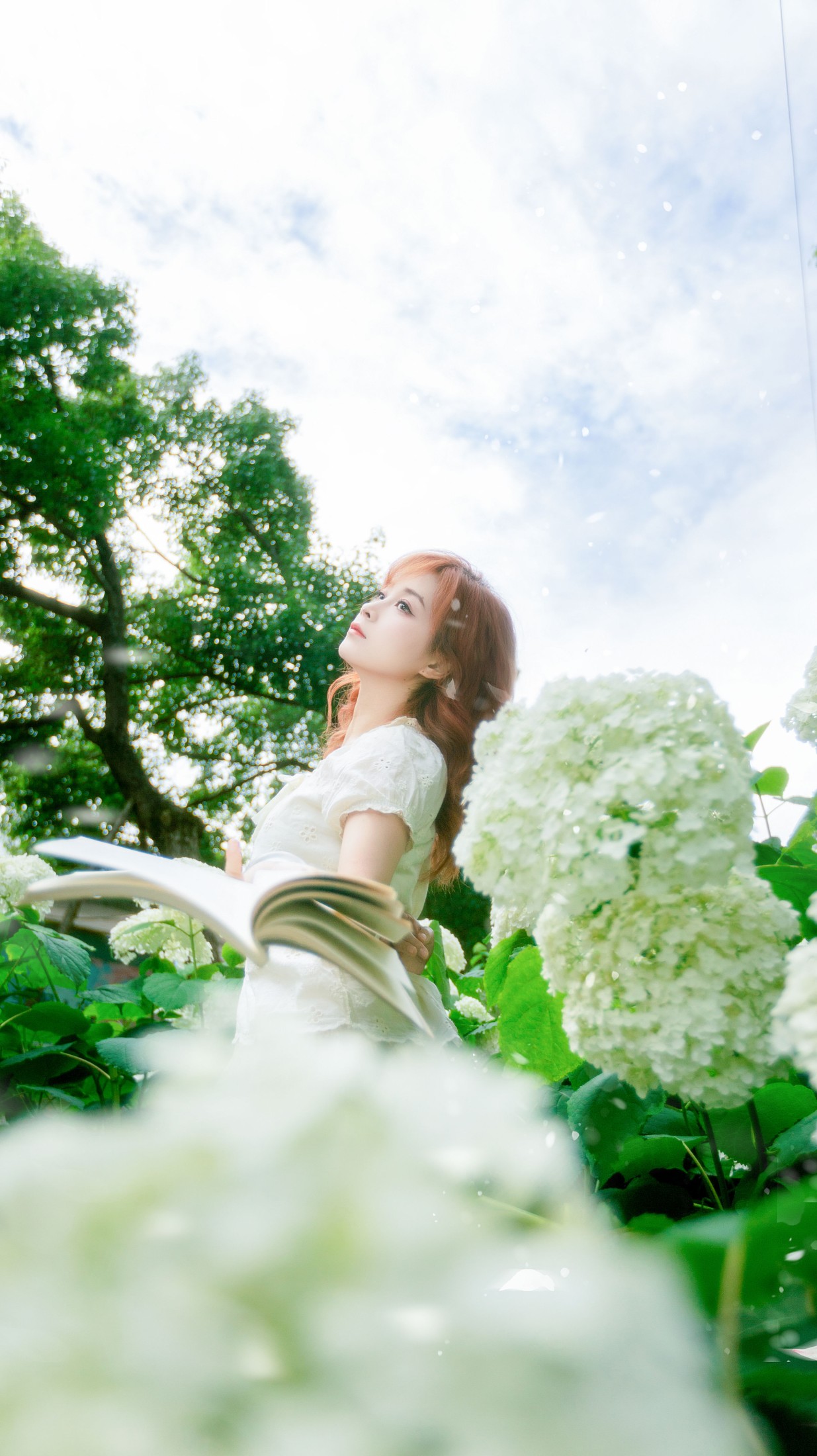图片[1] - 《风递花笺》[29P] - 机器猫次元 - 机器猫次元