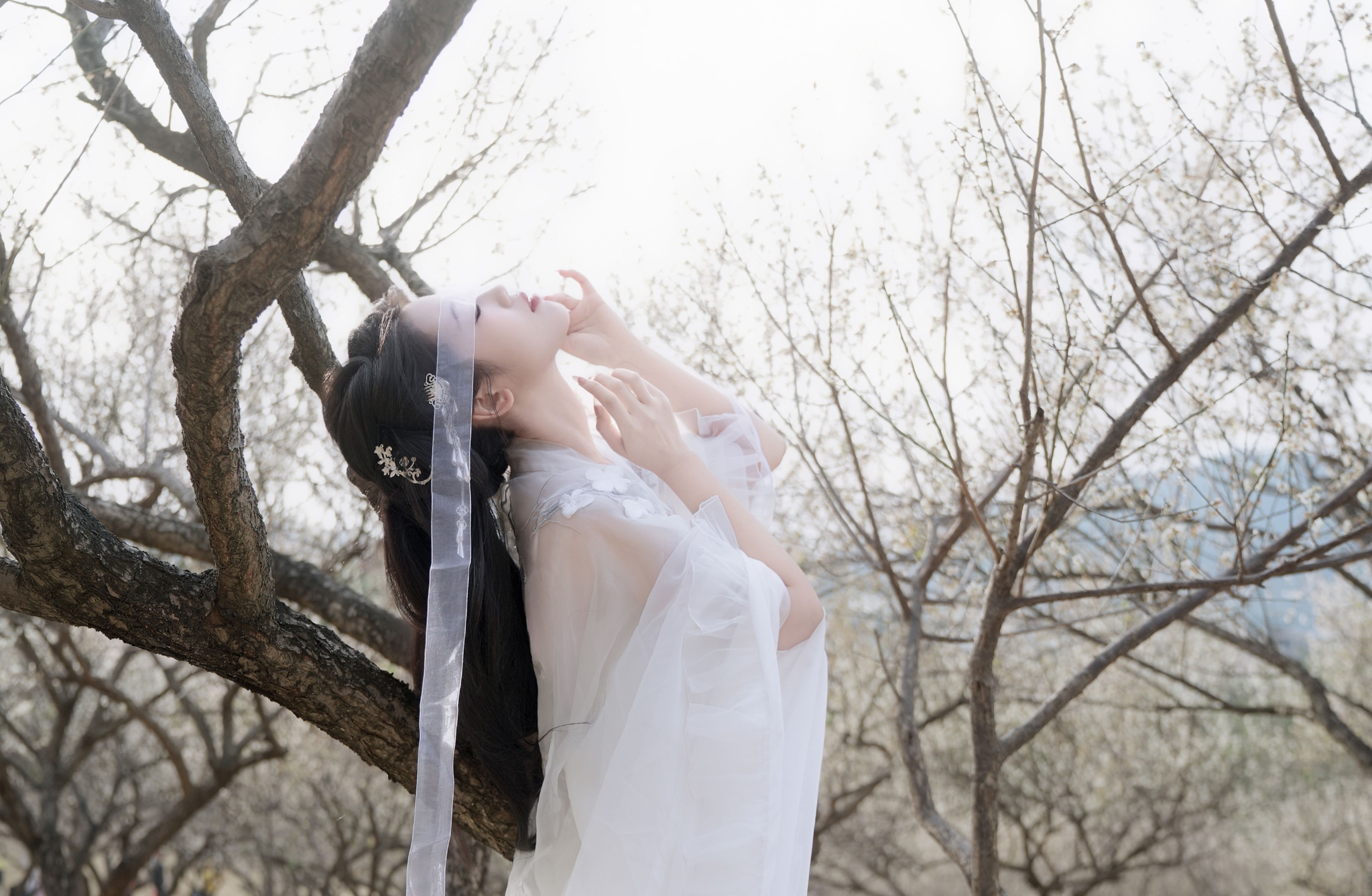 图片[4] - 《白梅》[27P] - 机器猫次元 - 机器猫次元