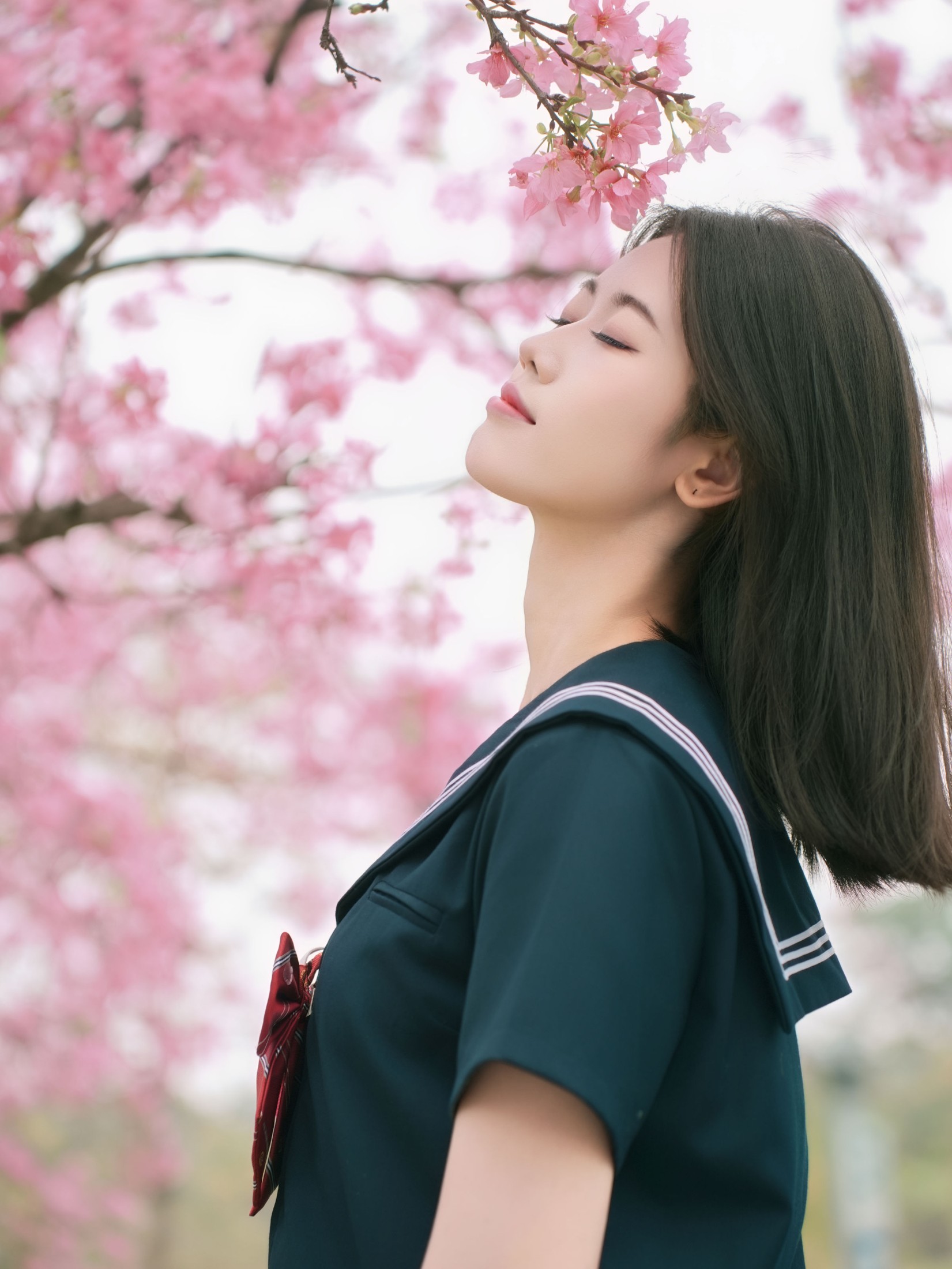图片[5] - 《樱花与jk》[12P] - 机器猫次元 - 机器猫次元
