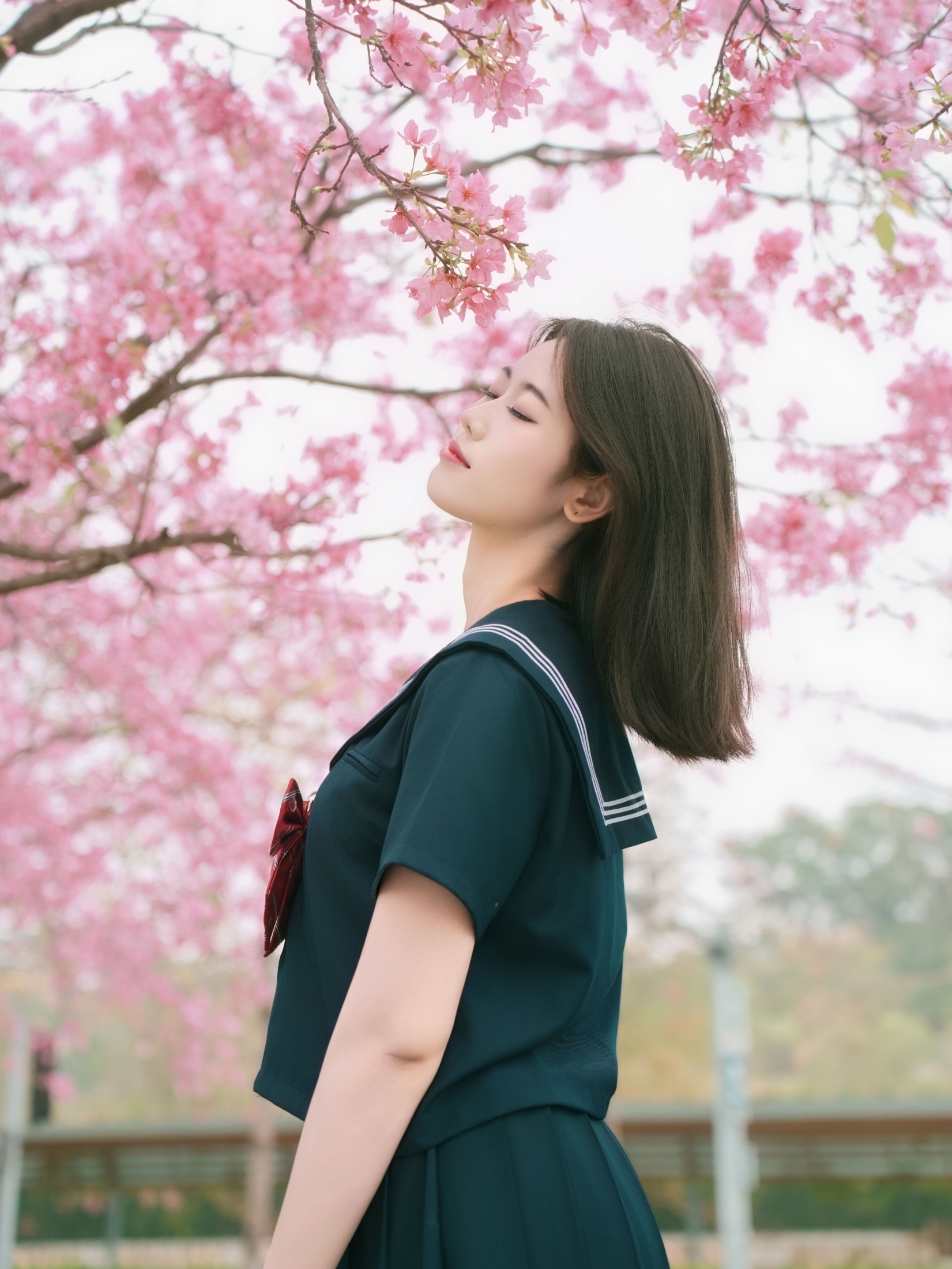 图片[4] - 《樱花与jk》[12P] - 机器猫次元 - 机器猫次元