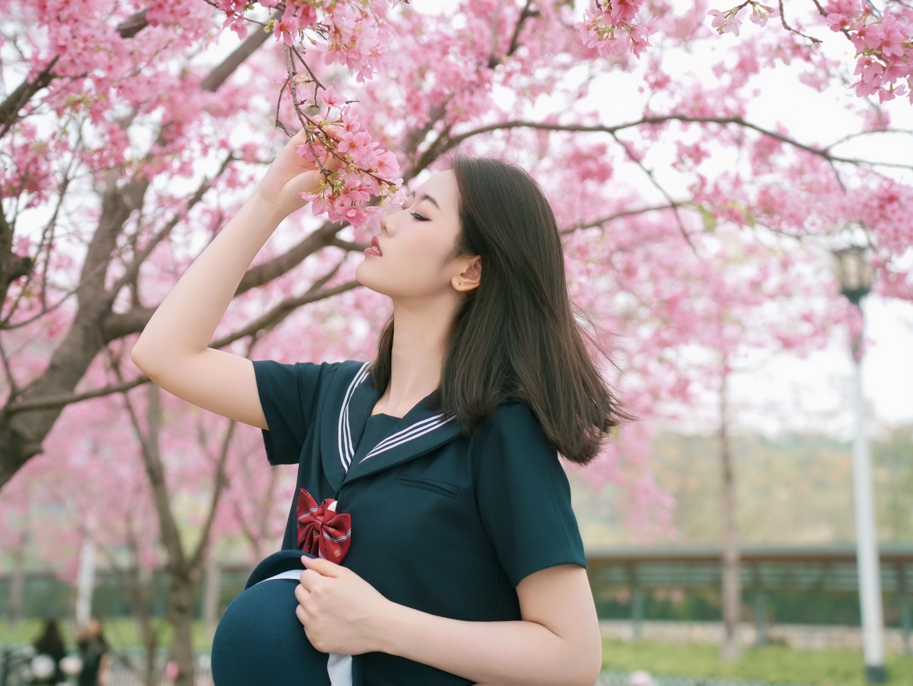 图片[2] - 《樱花与jk》[12P] - 机器猫次元 - 机器猫次元