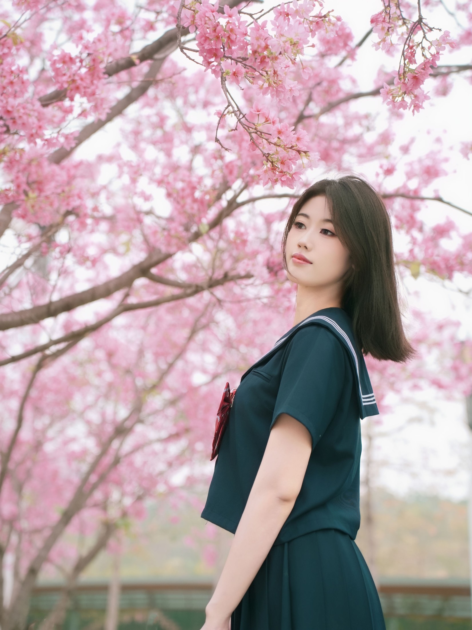 图片[6] - 《樱花与jk》[12P] - 机器猫次元 - 机器猫次元