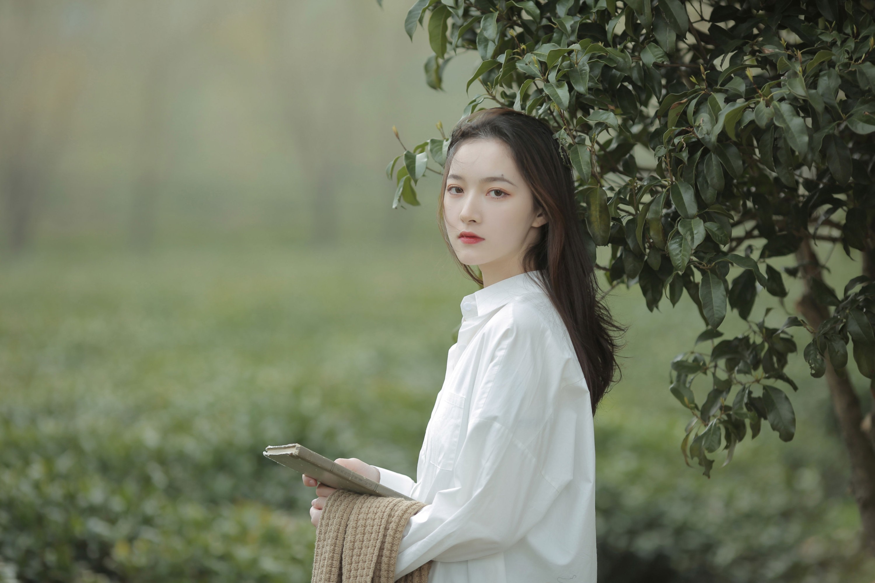 图片[1] - 《听风雨云窃语》[9P] - 机器猫次元 - 机器猫次元