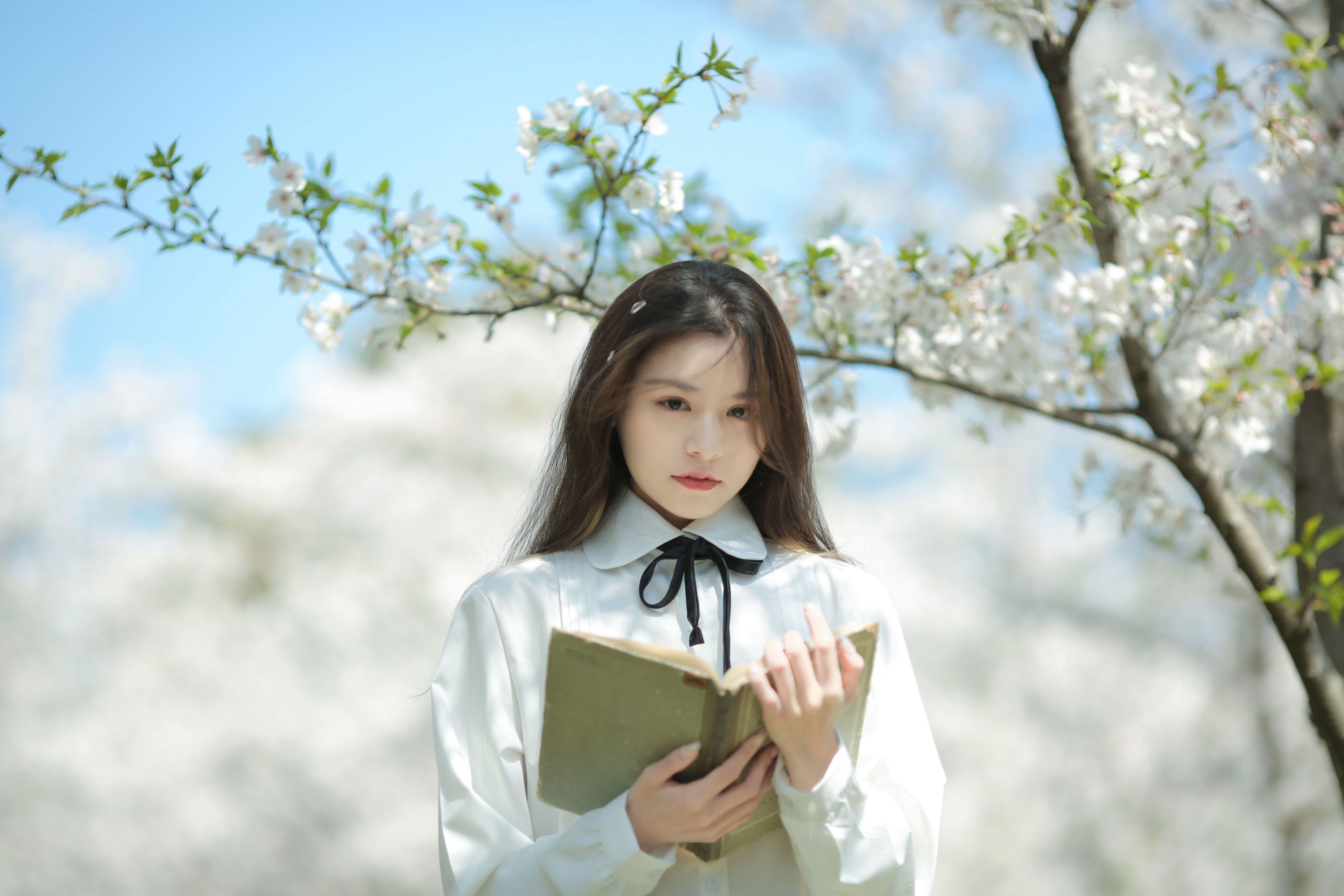 图片[5] - 《春观夜樱，夏望繁星》[13P] - 机器猫次元 - 机器猫次元