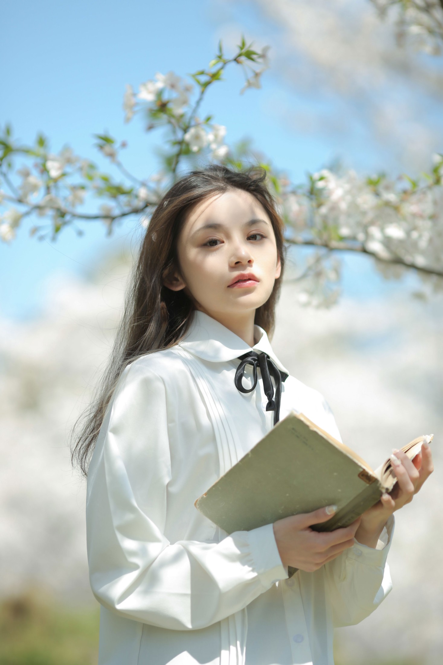 图片[2] - 《春观夜樱，夏望繁星》[13P] - 机器猫次元 - 机器猫次元