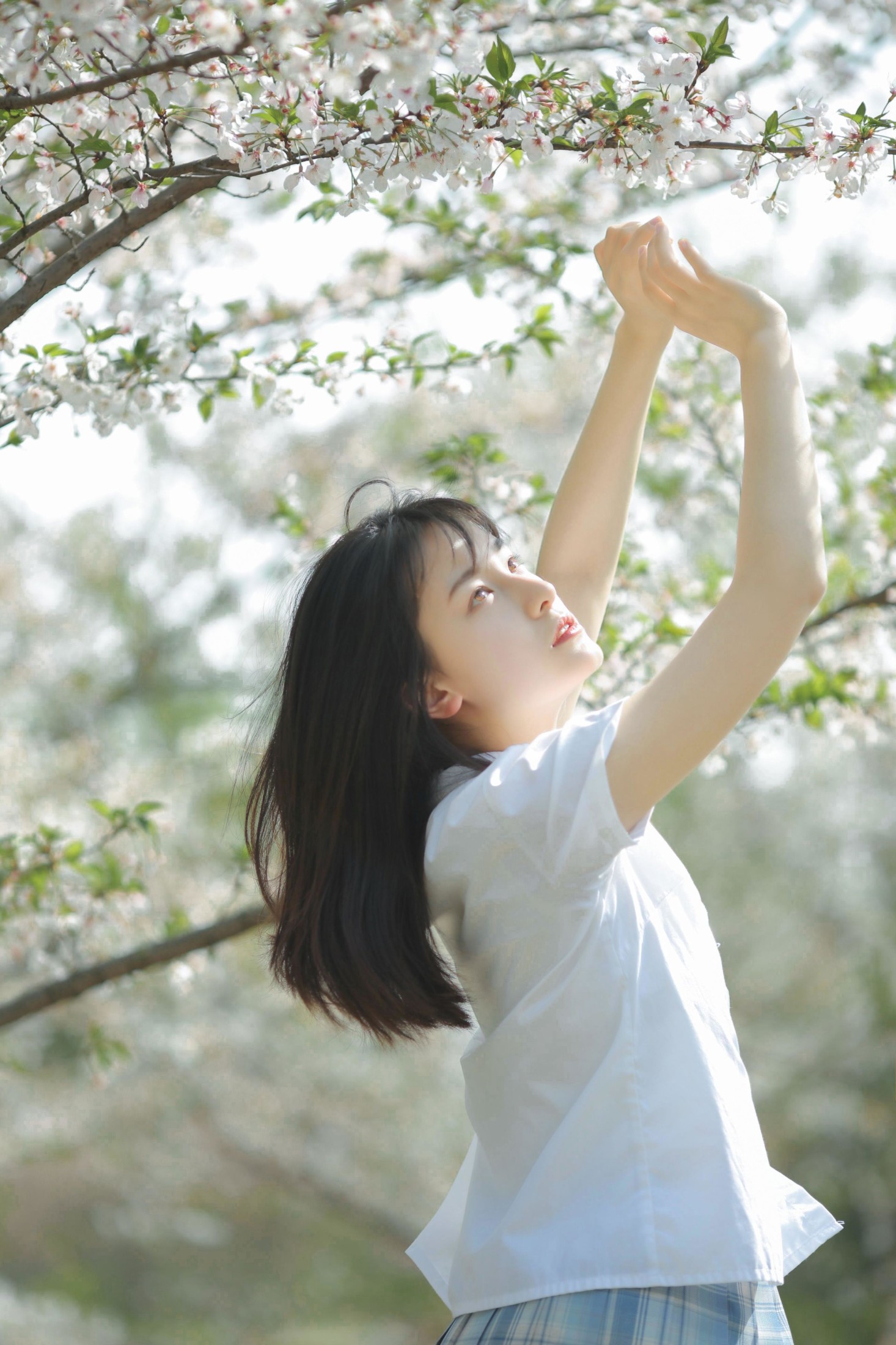 图片[1] - 《等春风得意，等时间嘉许》[10P] - 机器猫次元 - 机器猫次元