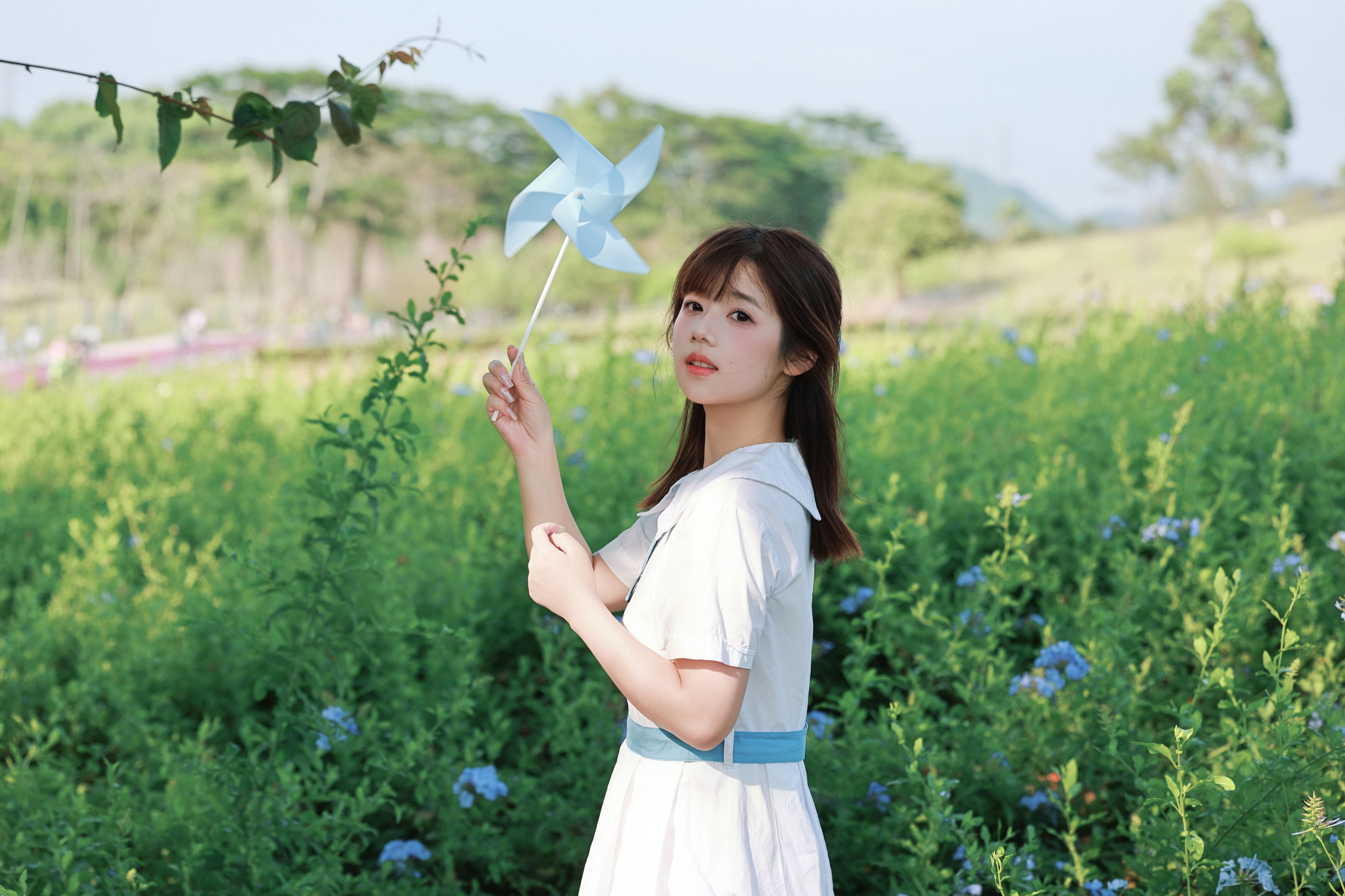 图片[7] - 《蓝雪花里的 JK 少女，藏着夏天的心事》[19P] - 机器猫次元 - 机器猫次元