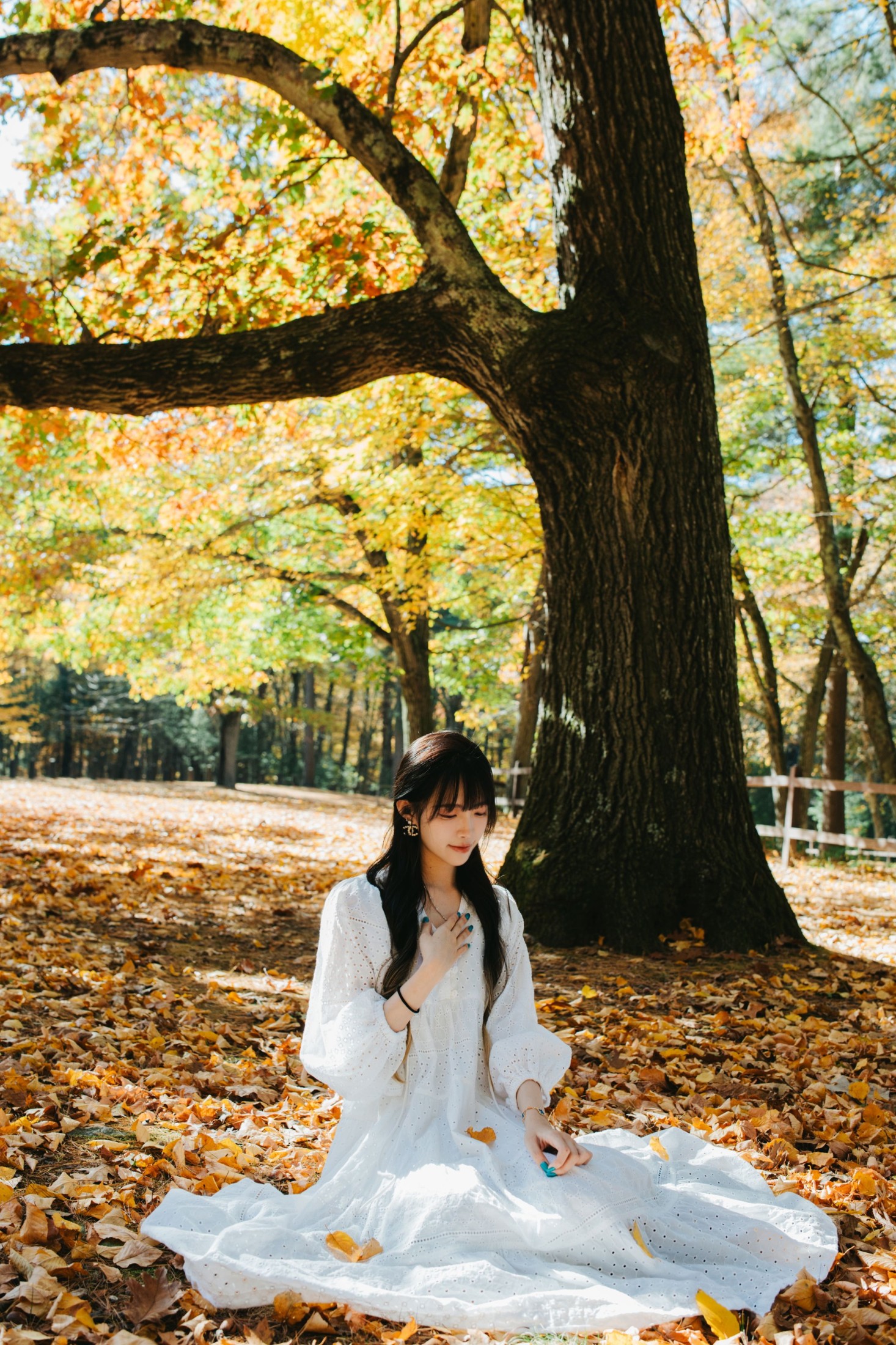 图片[2] - 《Fall Vibes》[9P] - 机器猫次元 - 机器猫次元