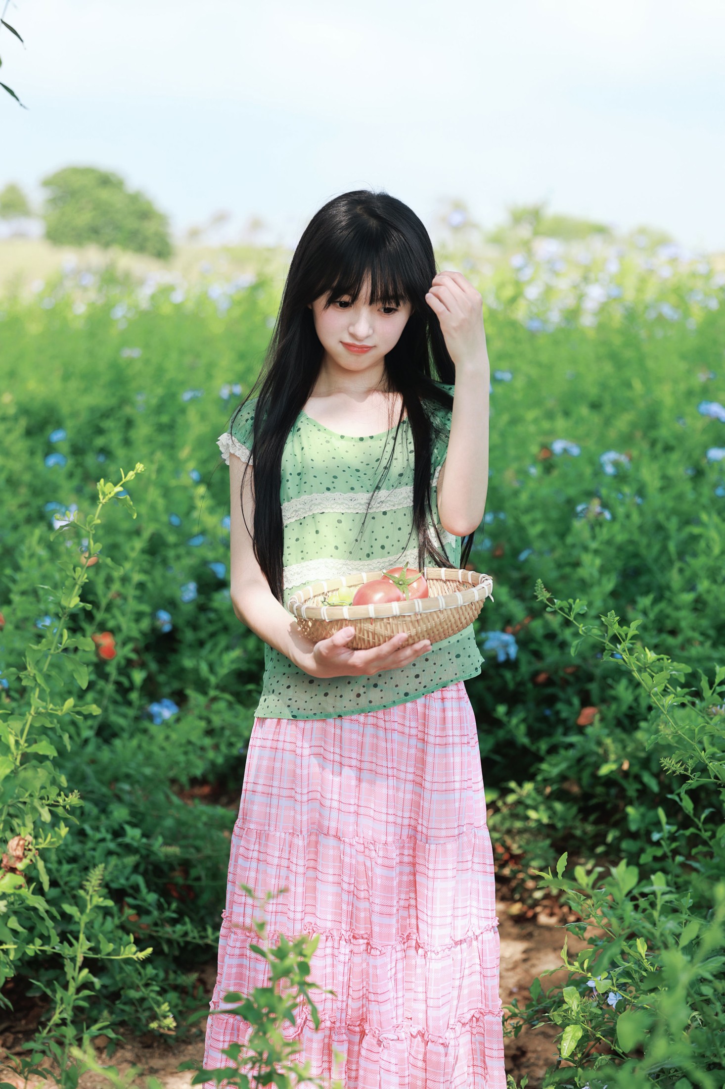 图片[1] - 《蓝雪花与番茄味的夏天》[20P] - 机器猫次元 - 机器猫次元