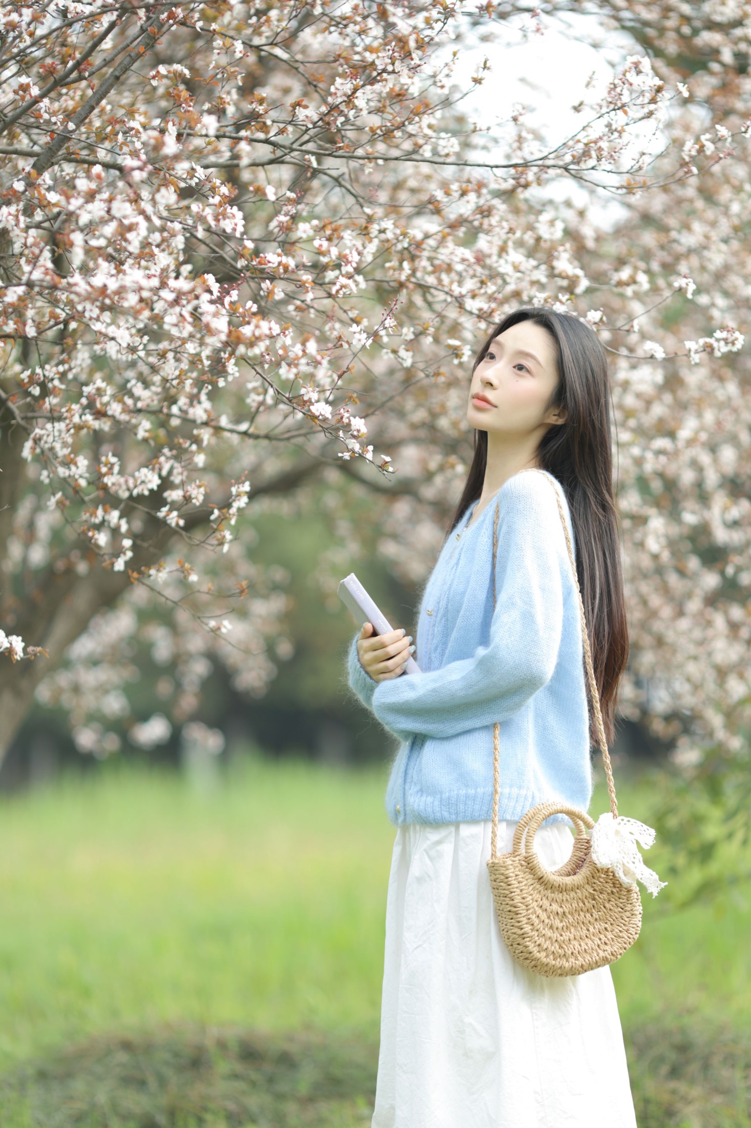 图片[1] - 《杜松混合茉莉的风》[28P] - 机器猫次元 - 机器猫次元