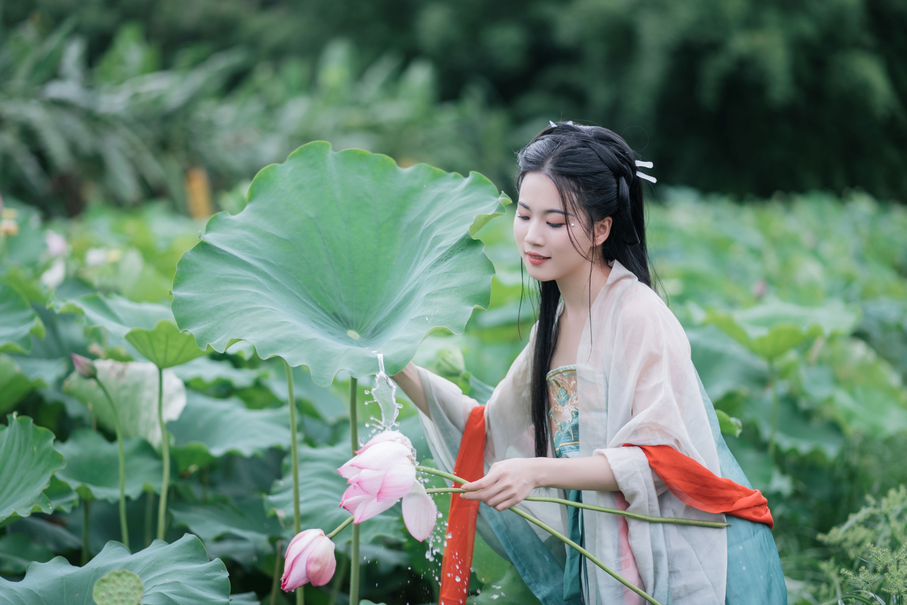 图片[1] - 《一池清荷，一袭古意》[17P] - 机器猫次元 - 机器猫次元