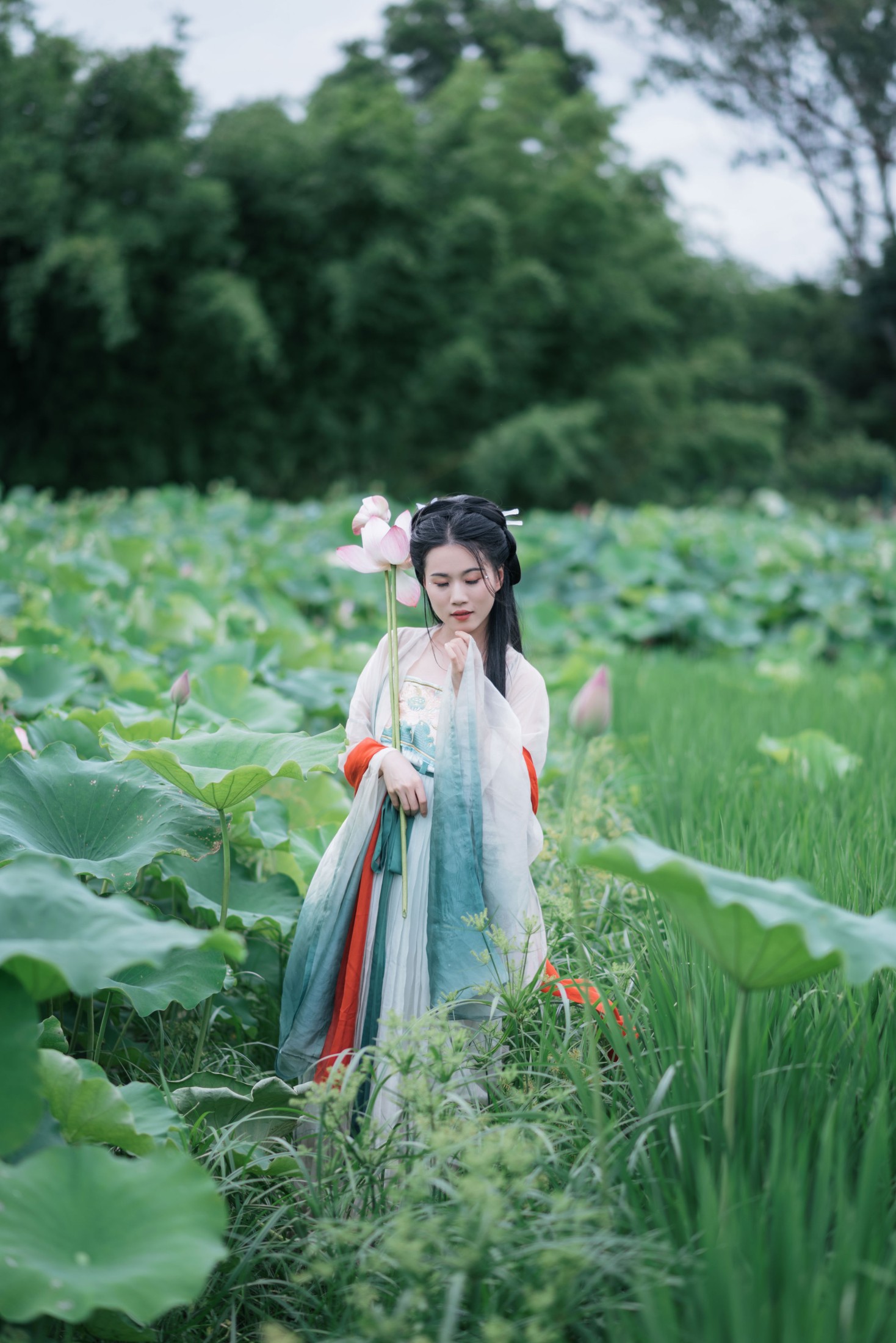 图片[8] - 《一池清荷，一袭古意》[17P] - 机器猫次元 - 机器猫次元