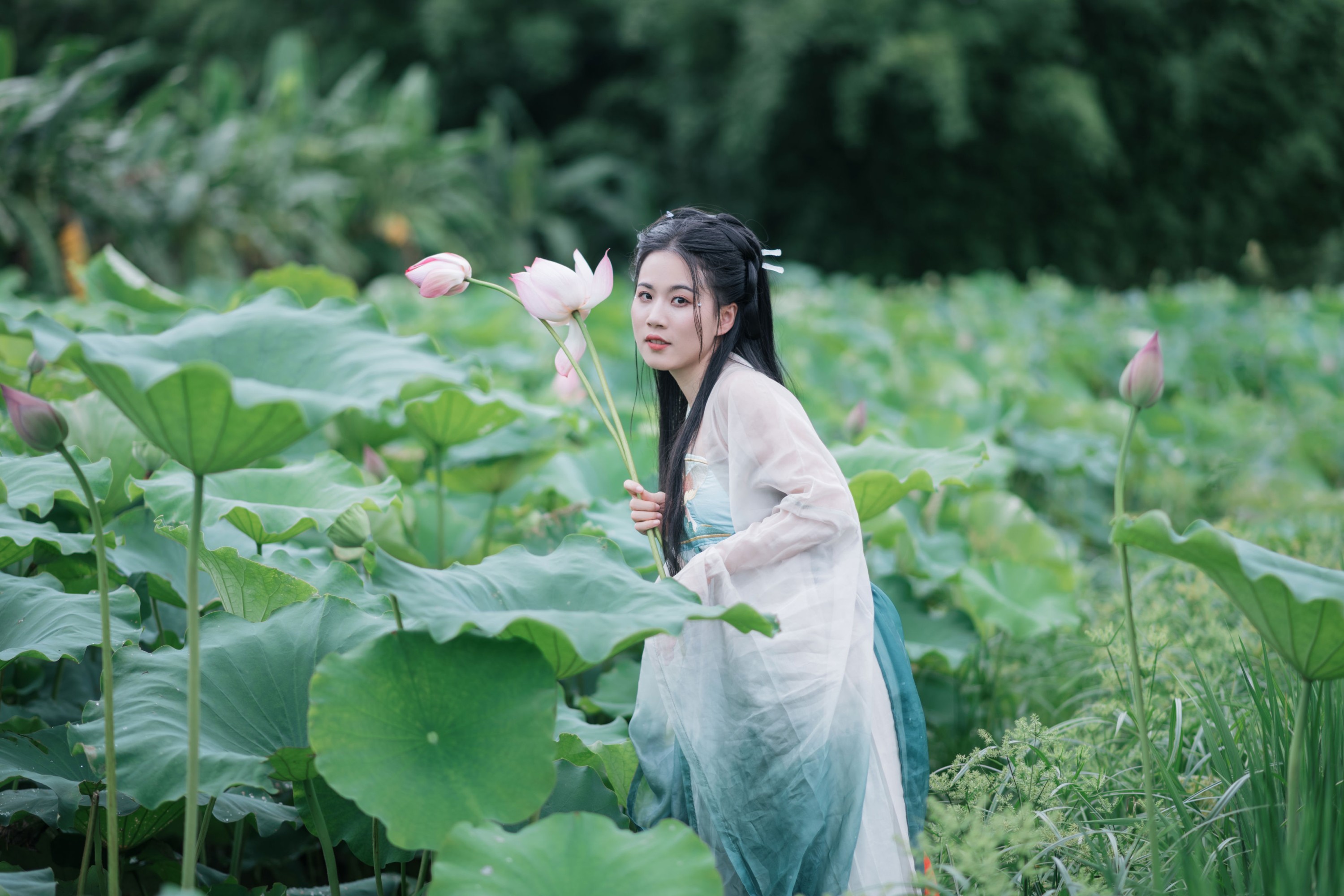 图片[5] - 《一池清荷，一袭古意》[17P] - 机器猫次元 - 机器猫次元