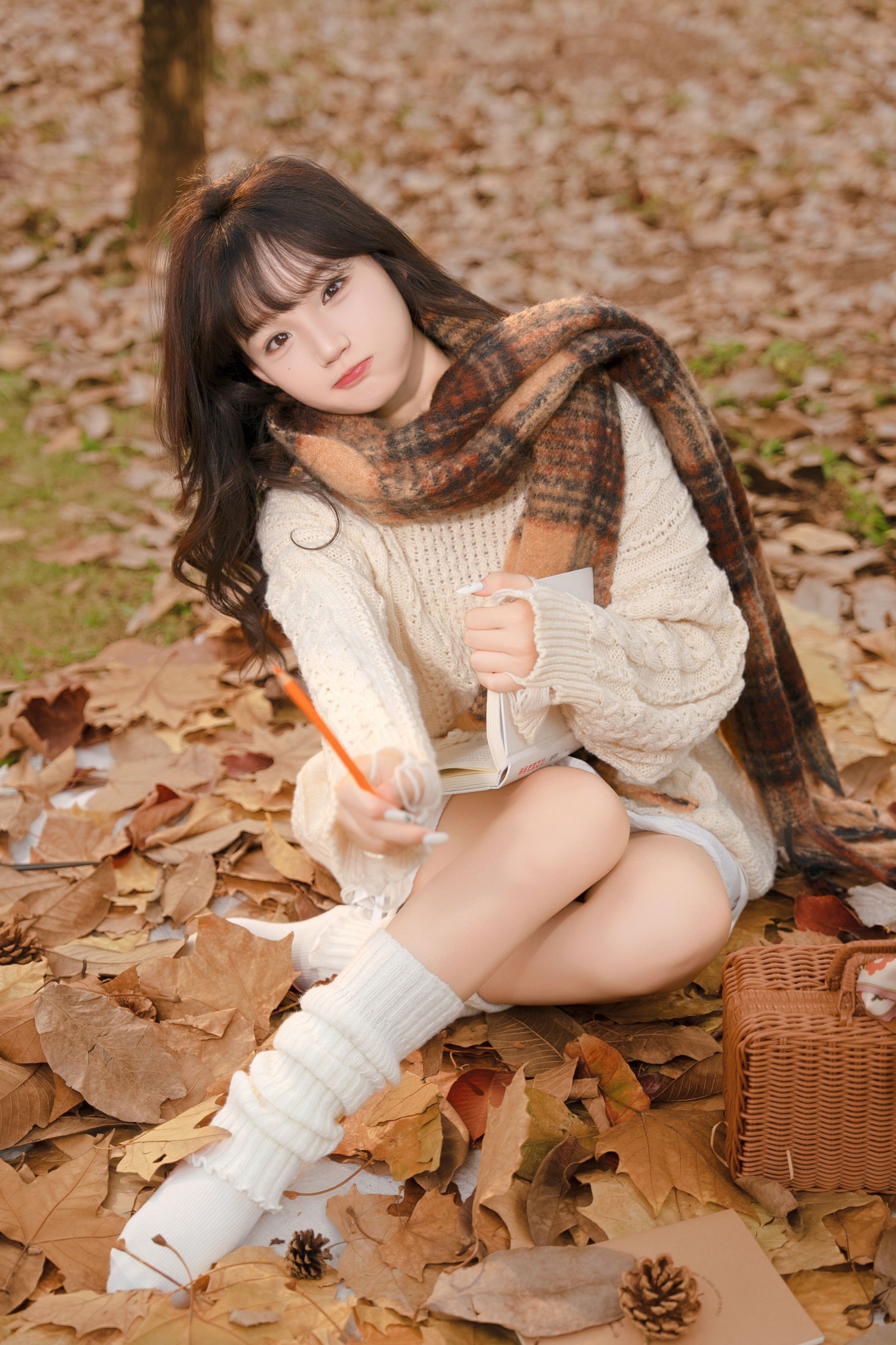 图片[2] - 《秋日落叶氛围感写真》[11P] - 机器猫次元 - 机器猫次元